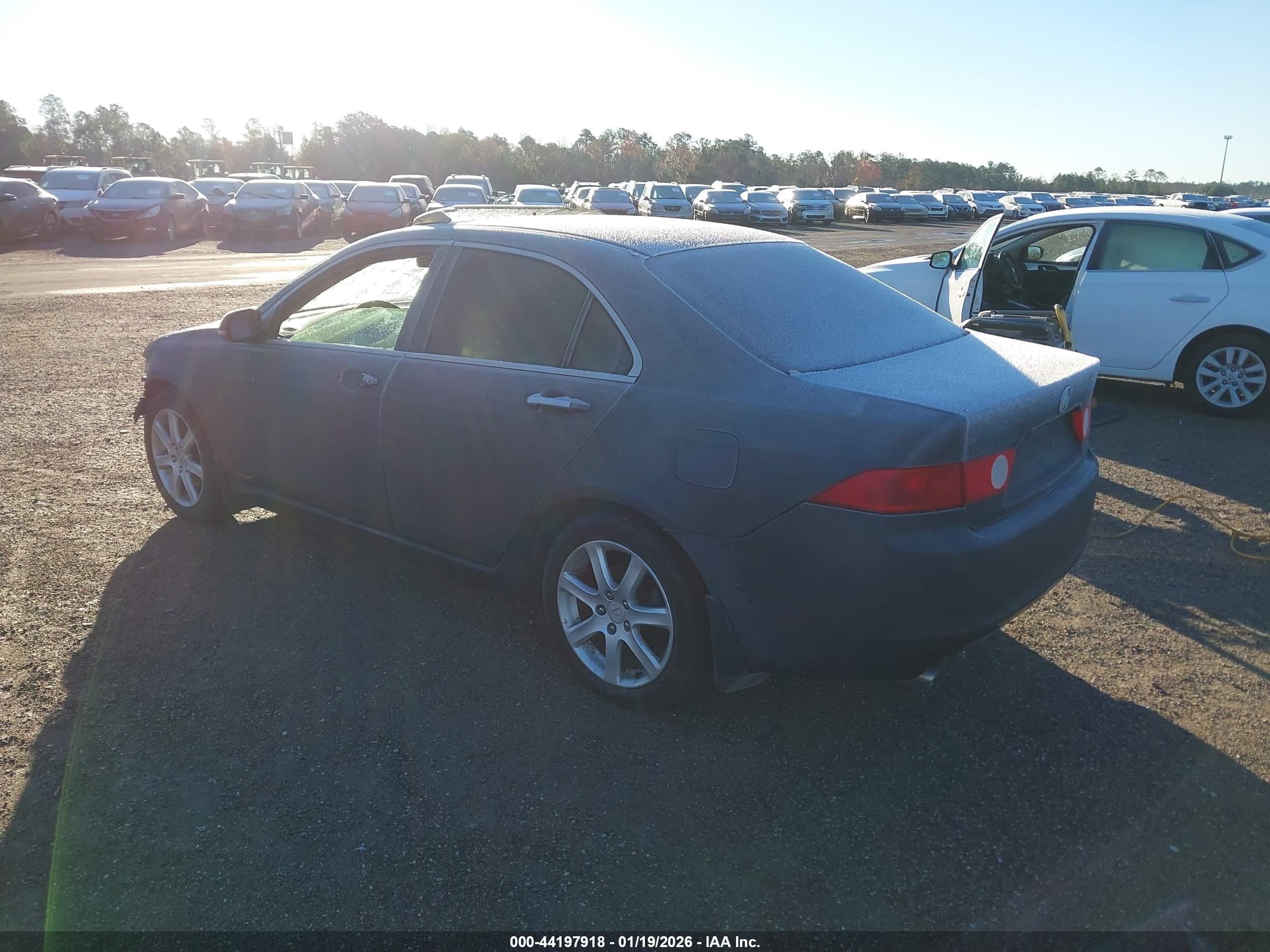 ACURA TSX image 3