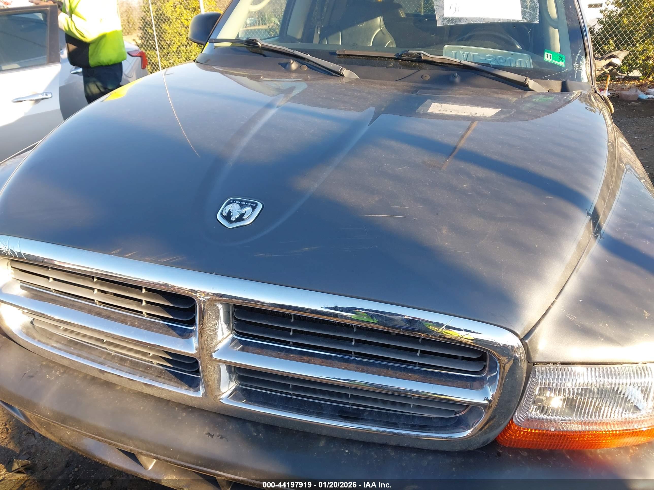 DODGE DAKOTA image 10