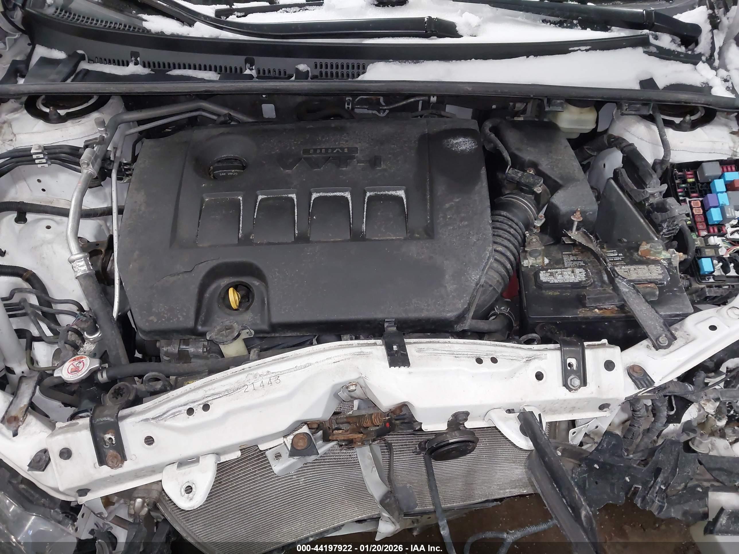 TOYOTA COROLLA image 10