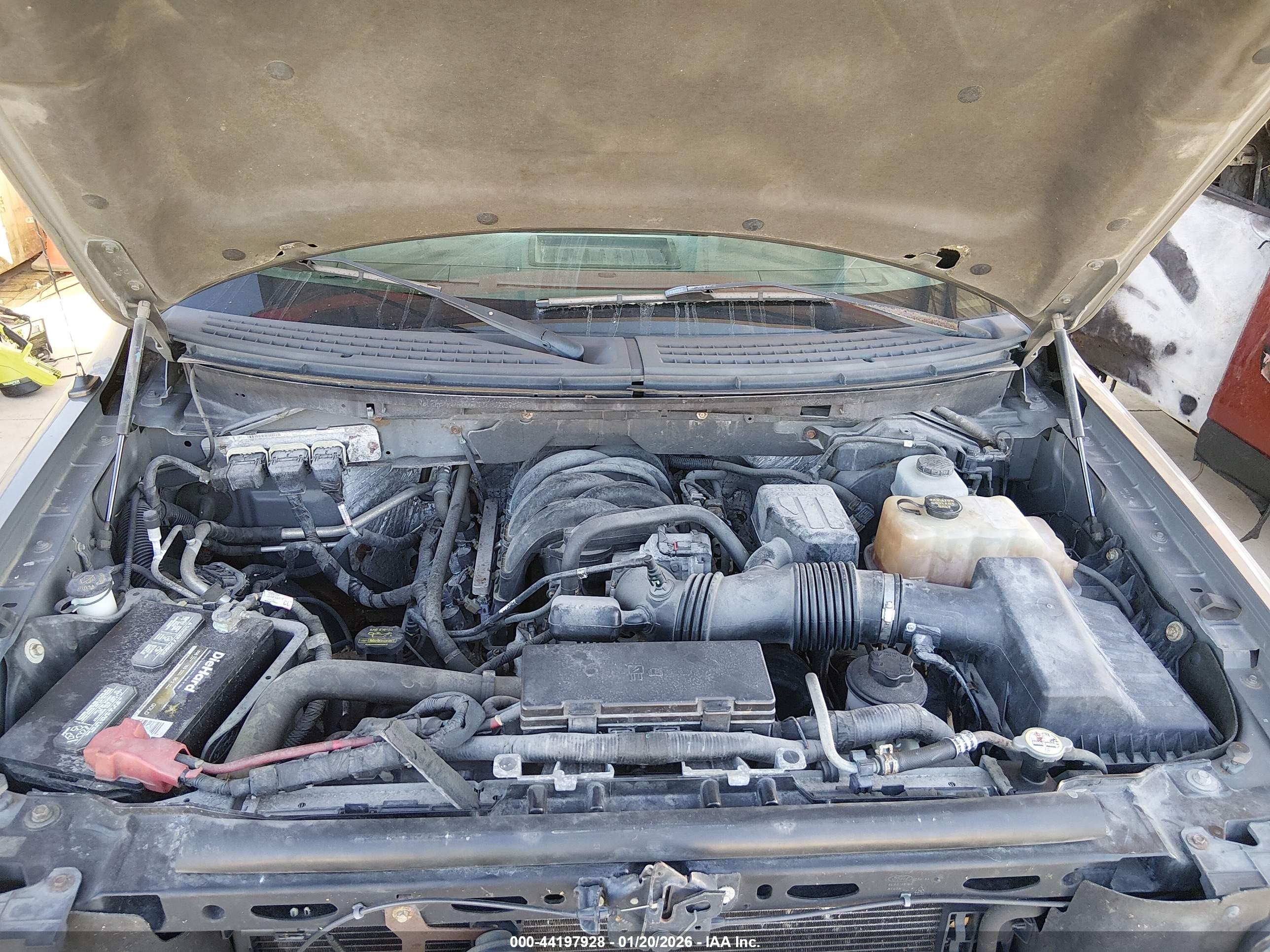 FORD F-150 image 10