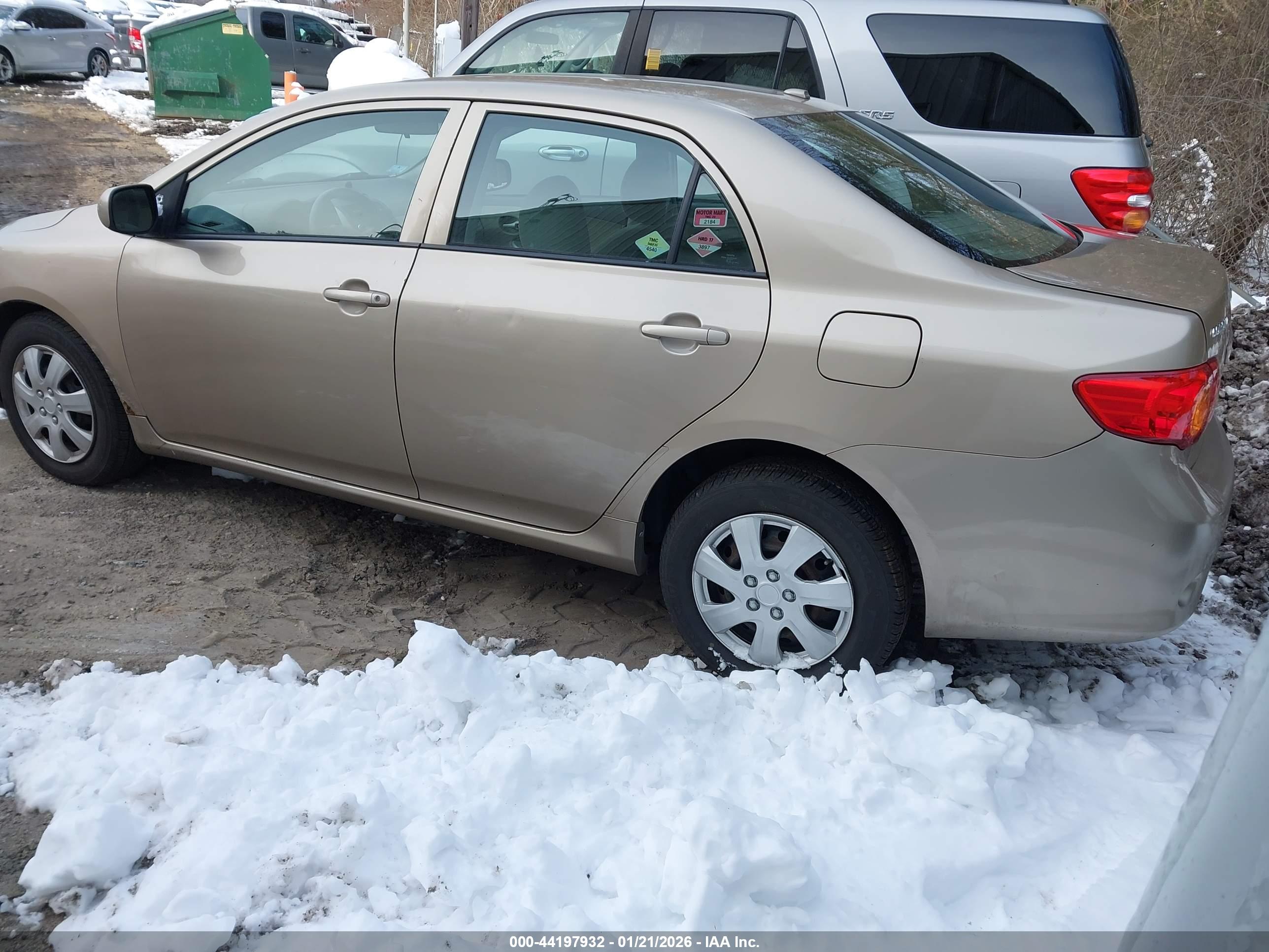 TOYOTA COROLLA image 3