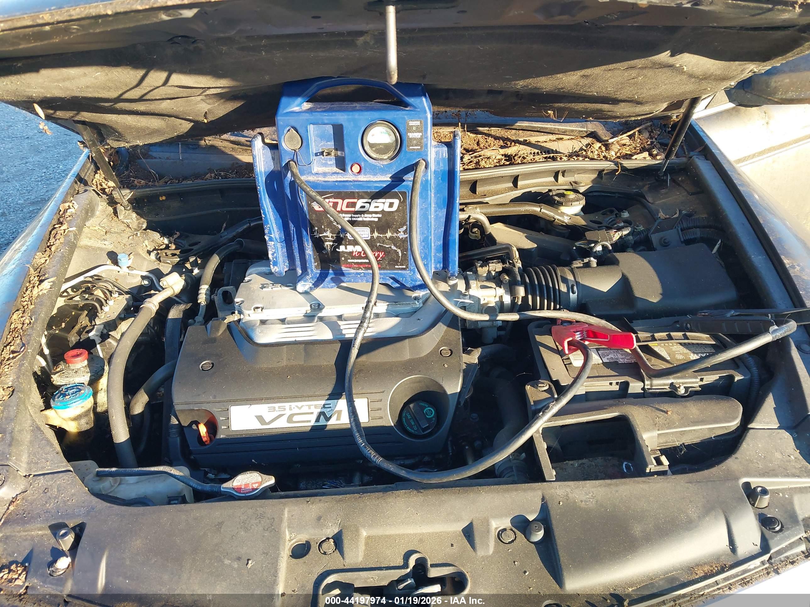 HONDA ACCORD image 10