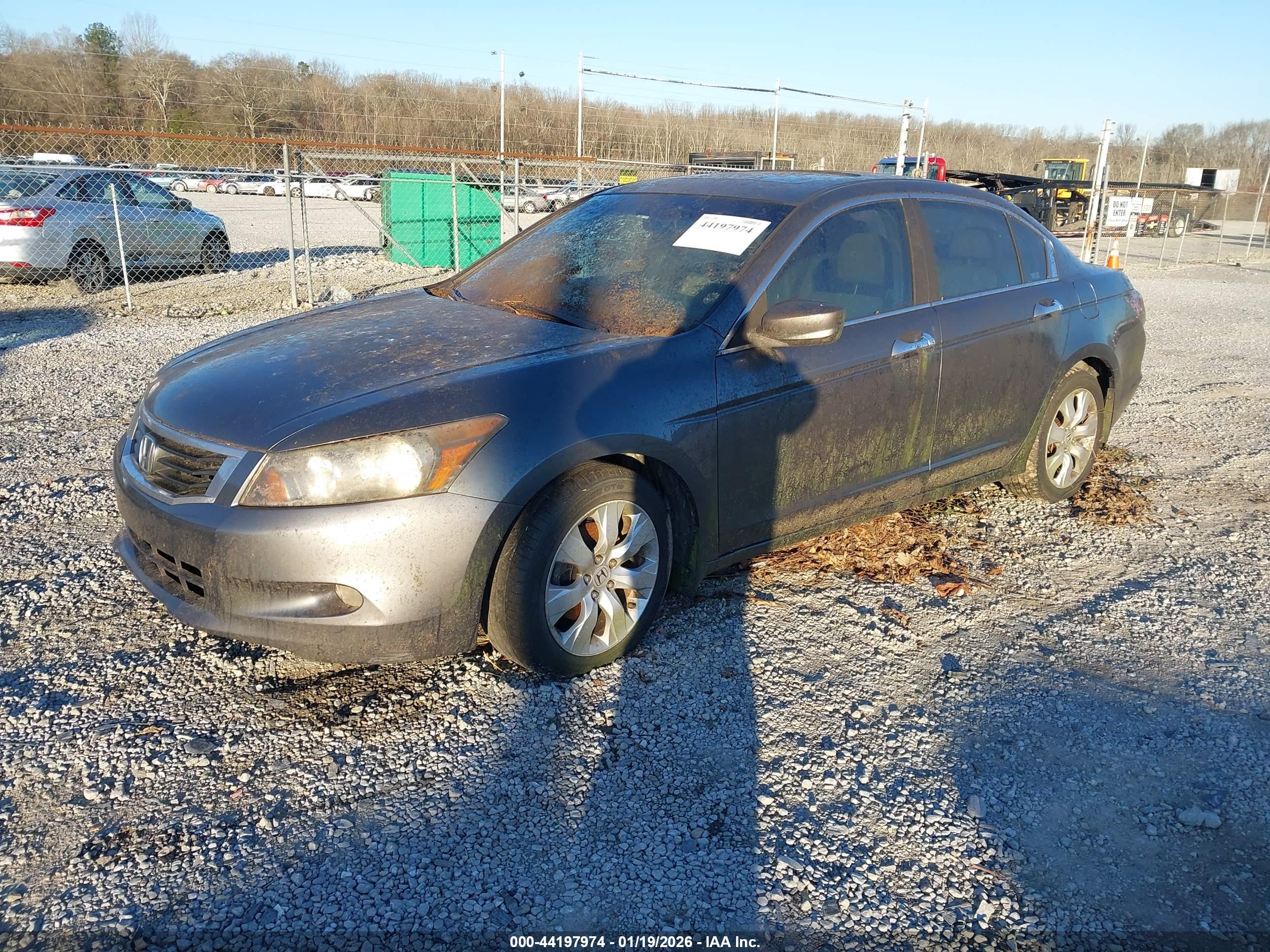 HONDA ACCORD image 2