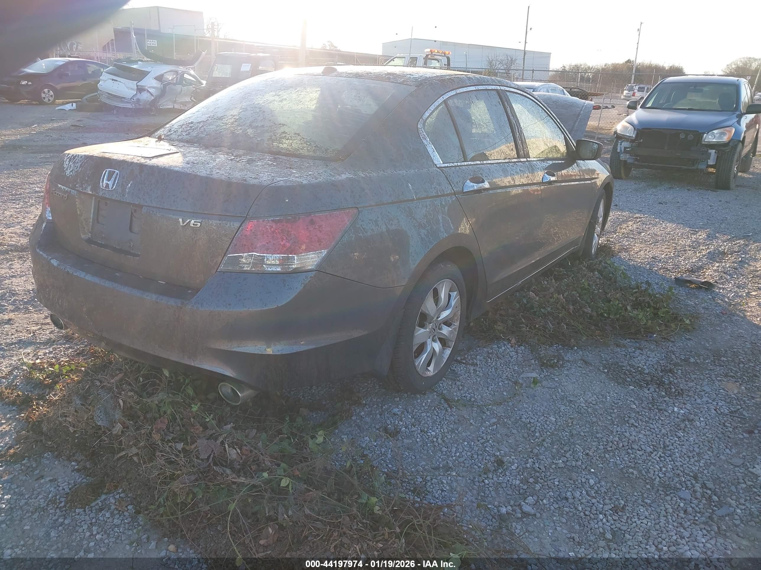 HONDA ACCORD image 4