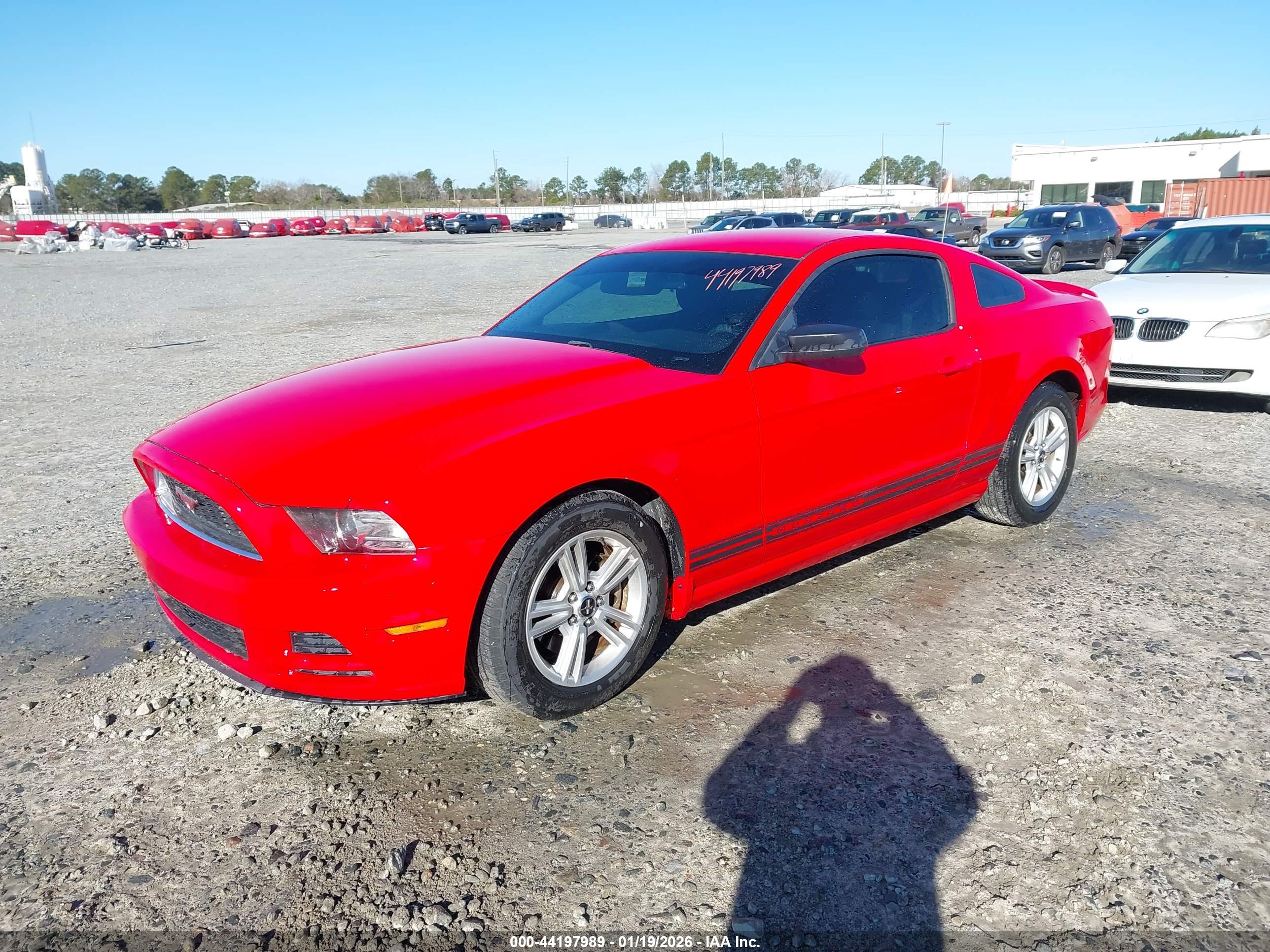 FORD MUSTANG image 2