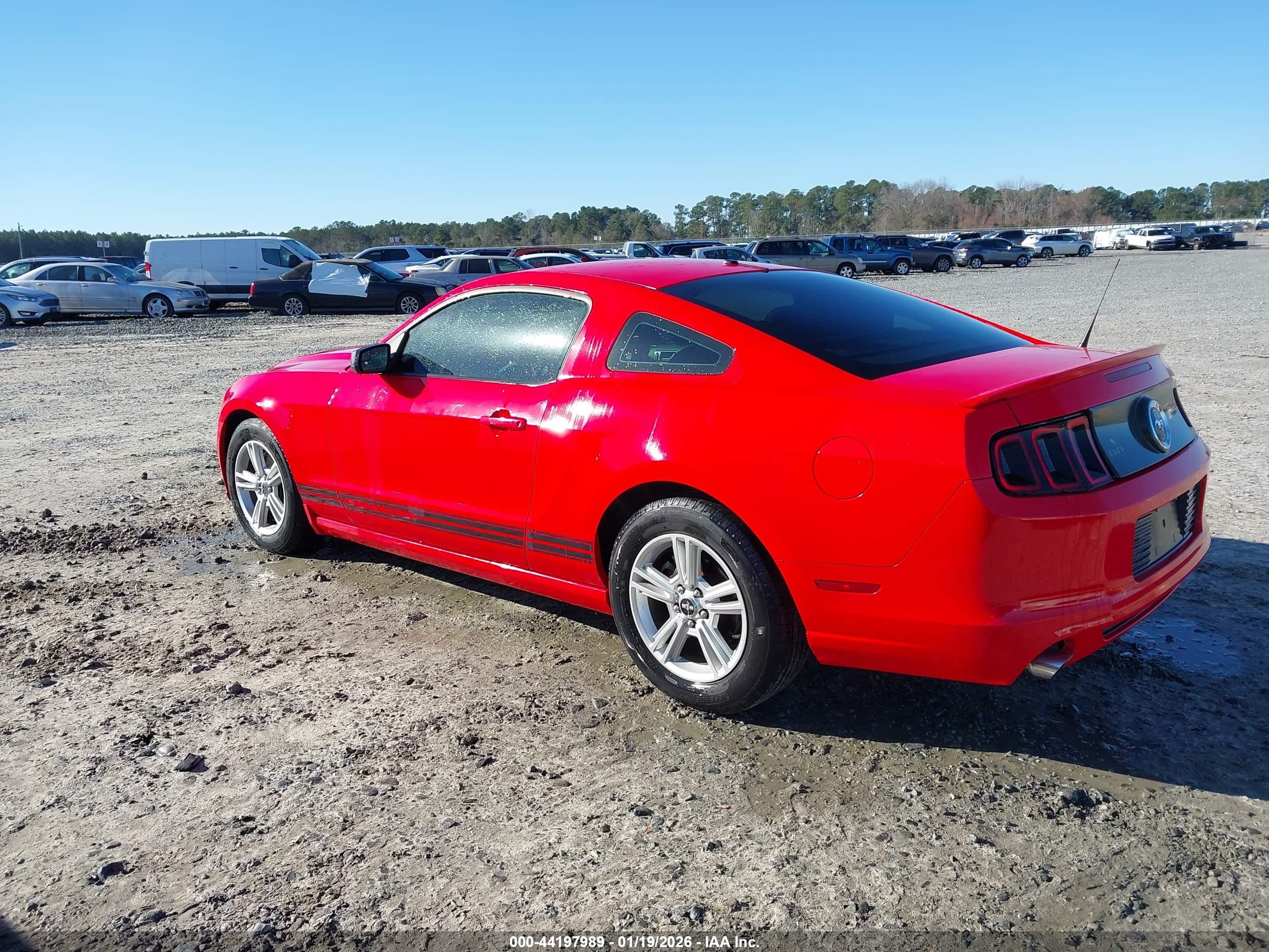 FORD MUSTANG image 3