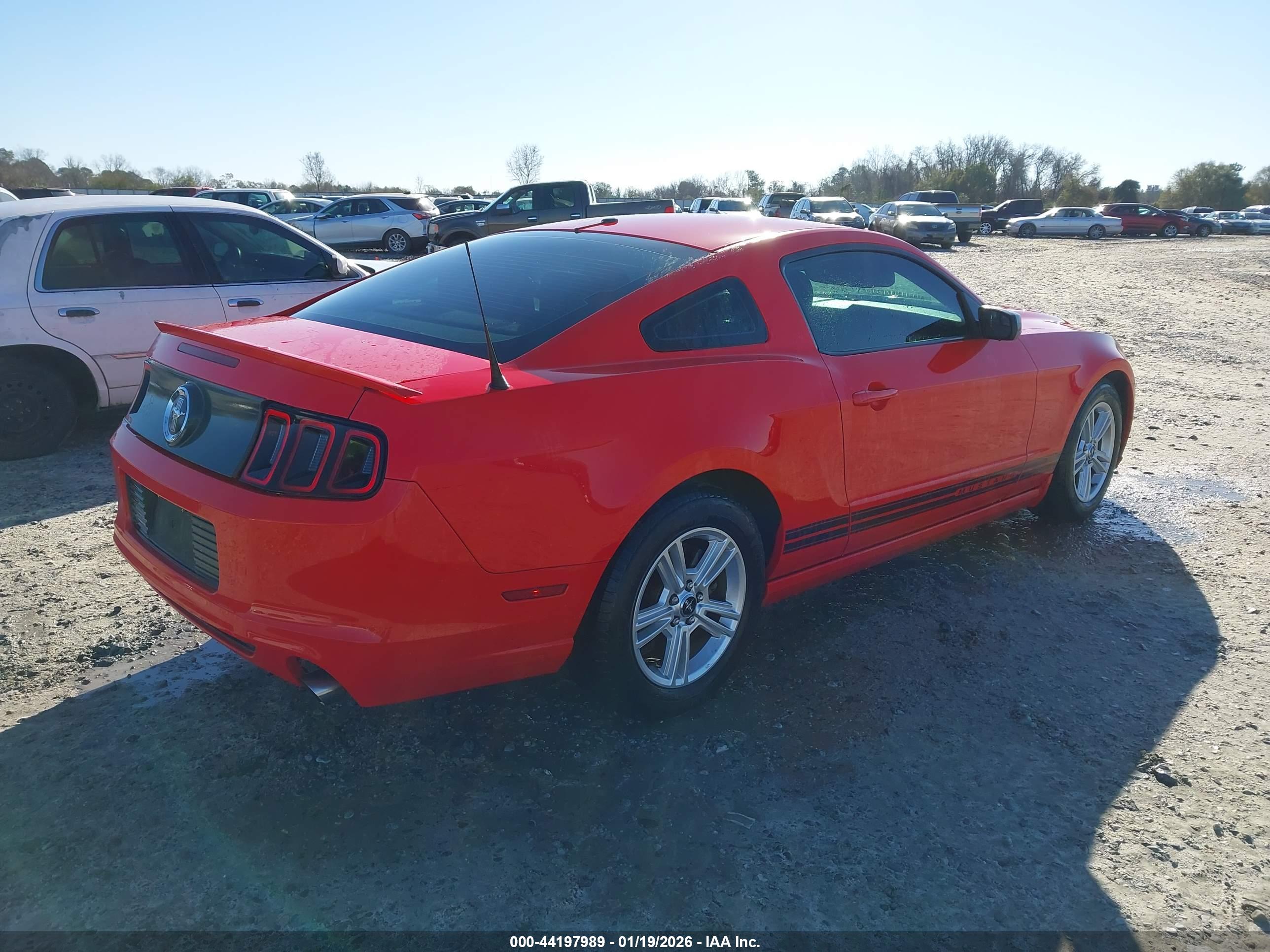 FORD MUSTANG image 4
