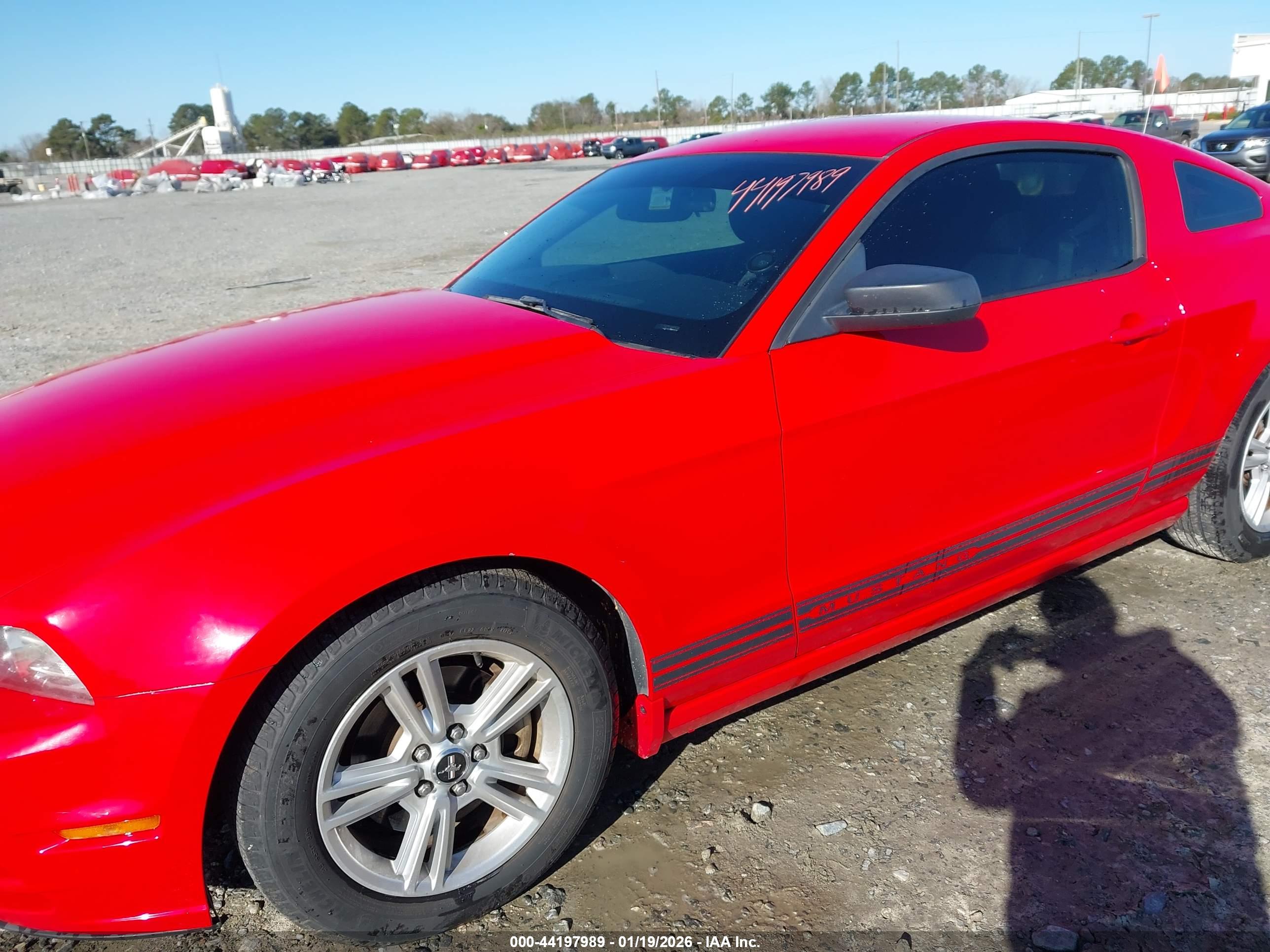 FORD MUSTANG image 6