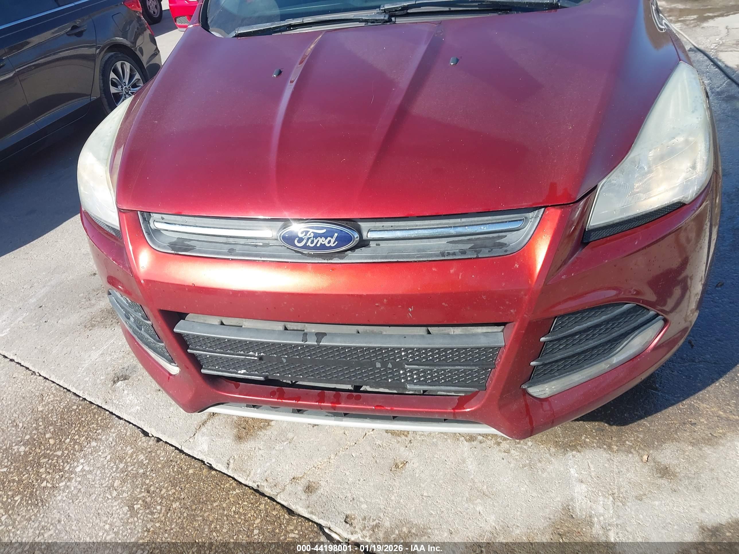 FORD ESCAPE image 6
