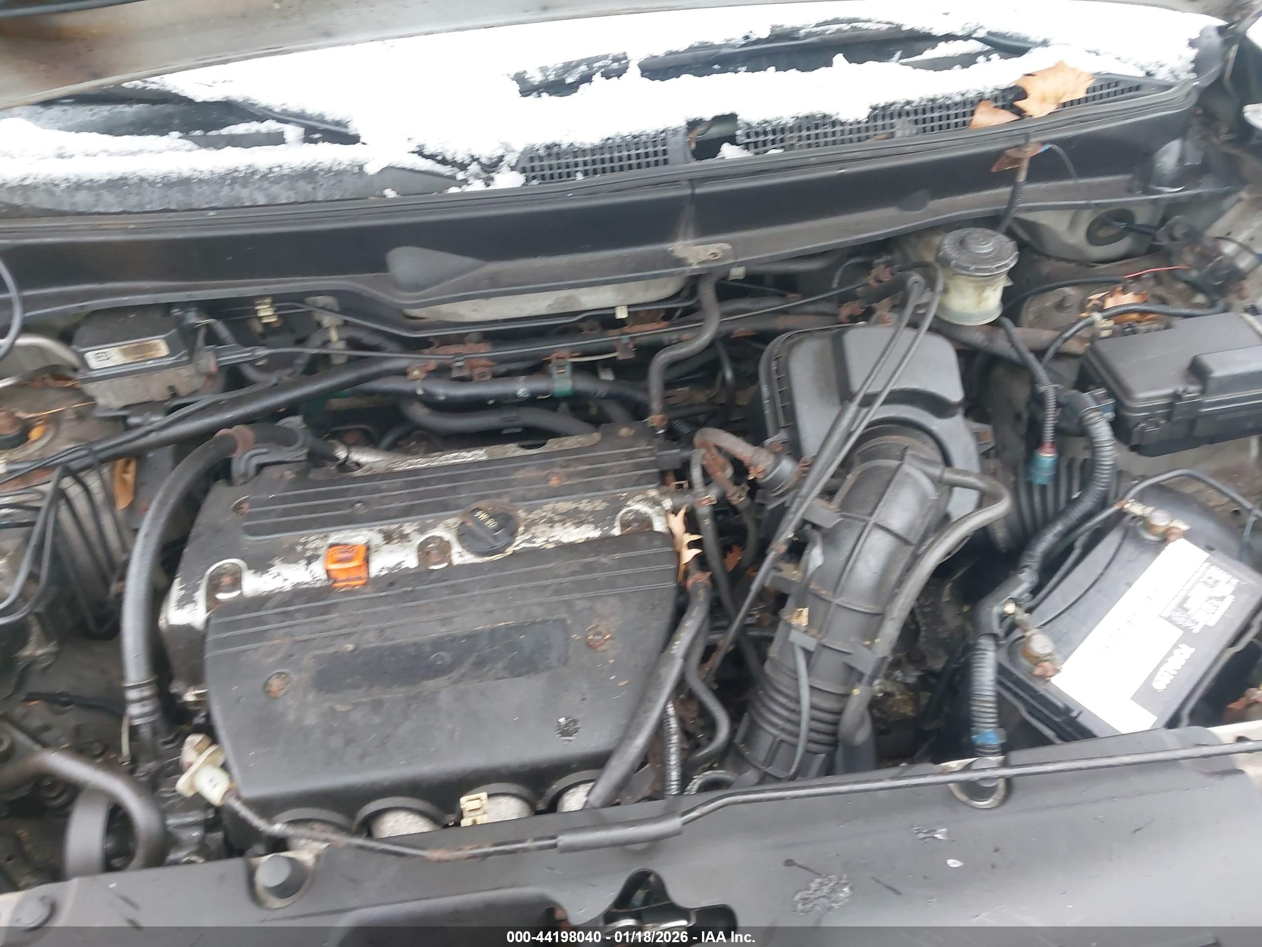HONDA ELEMENT image 10