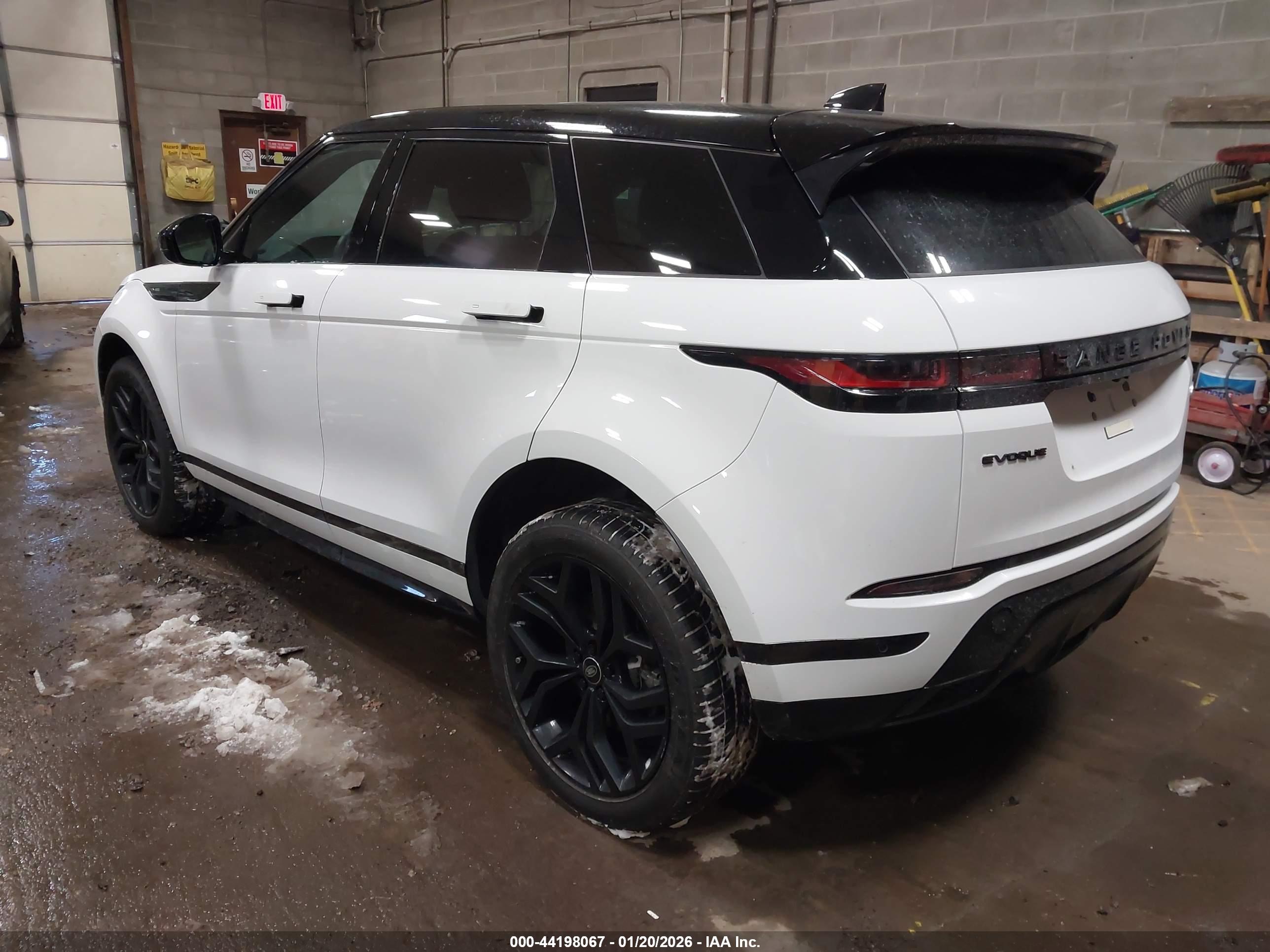 LAND ROVER image 3