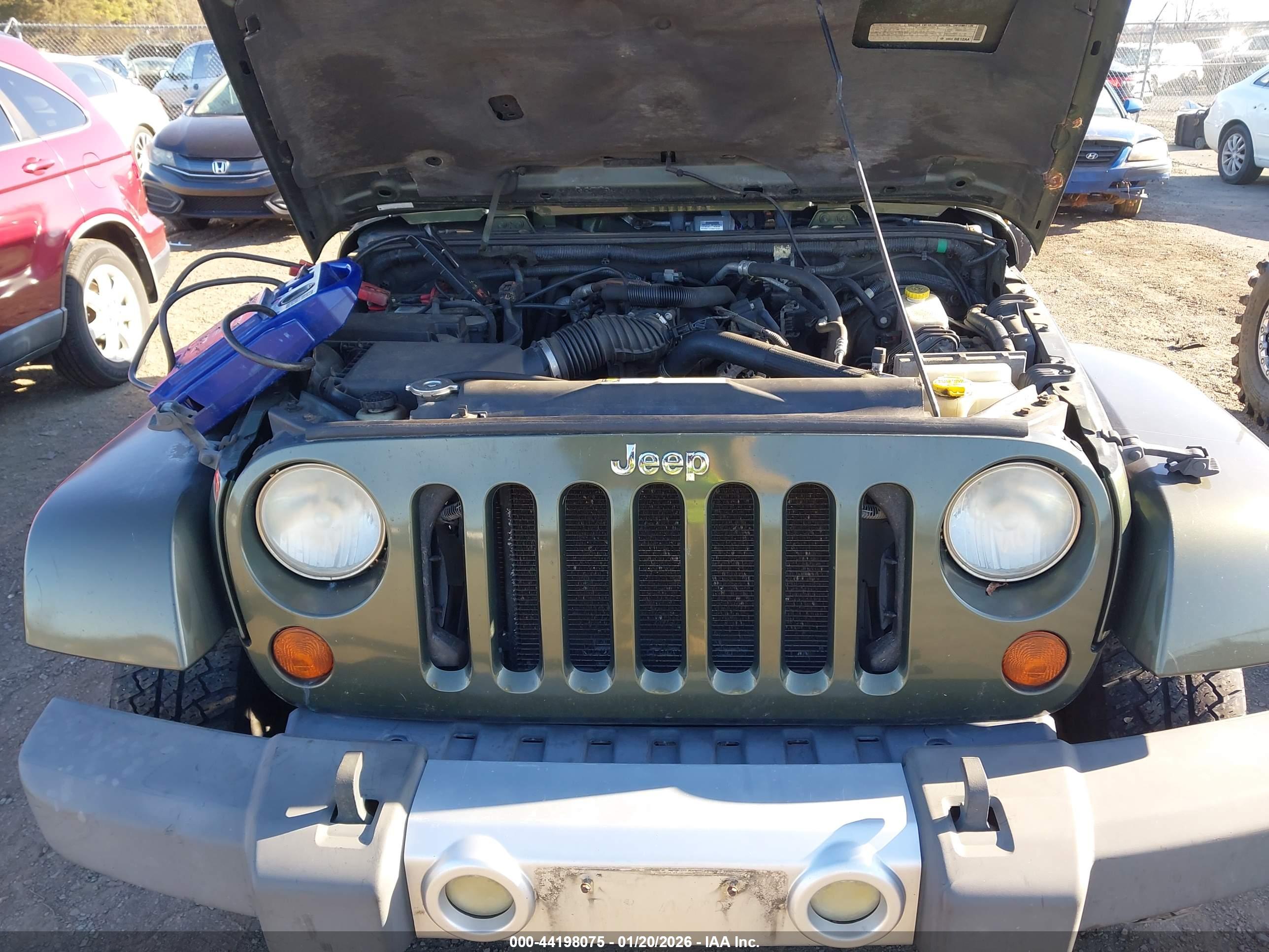 JEEP WRANGLER image 6