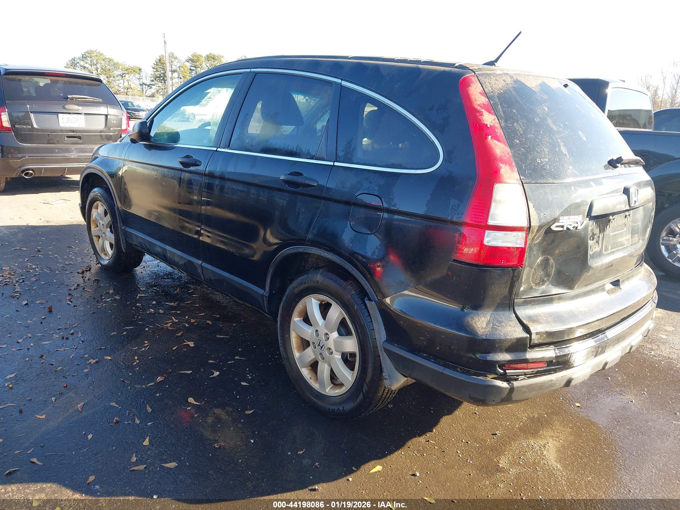 HONDA CR-V image 3