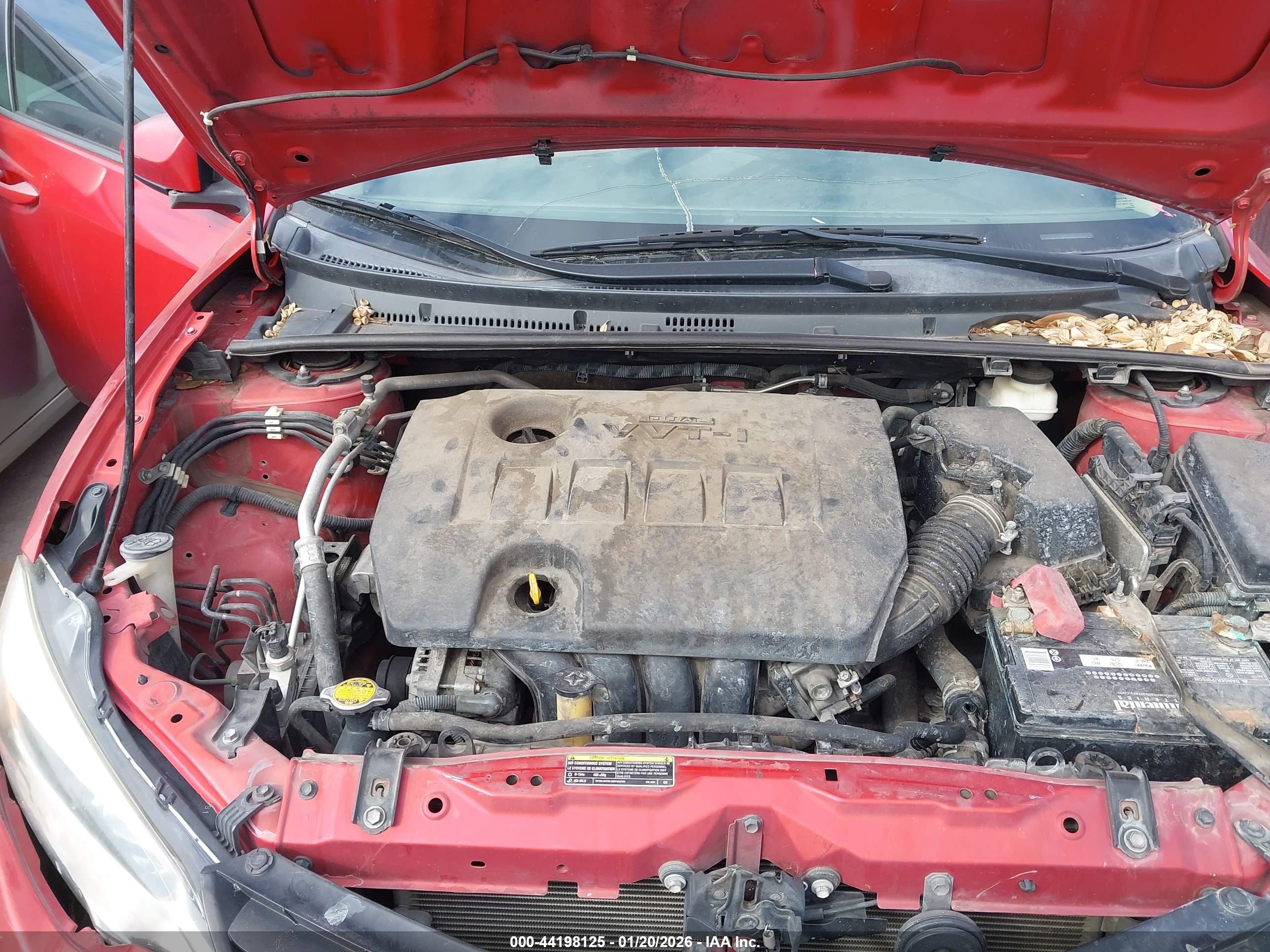 TOYOTA COROLLA image 10