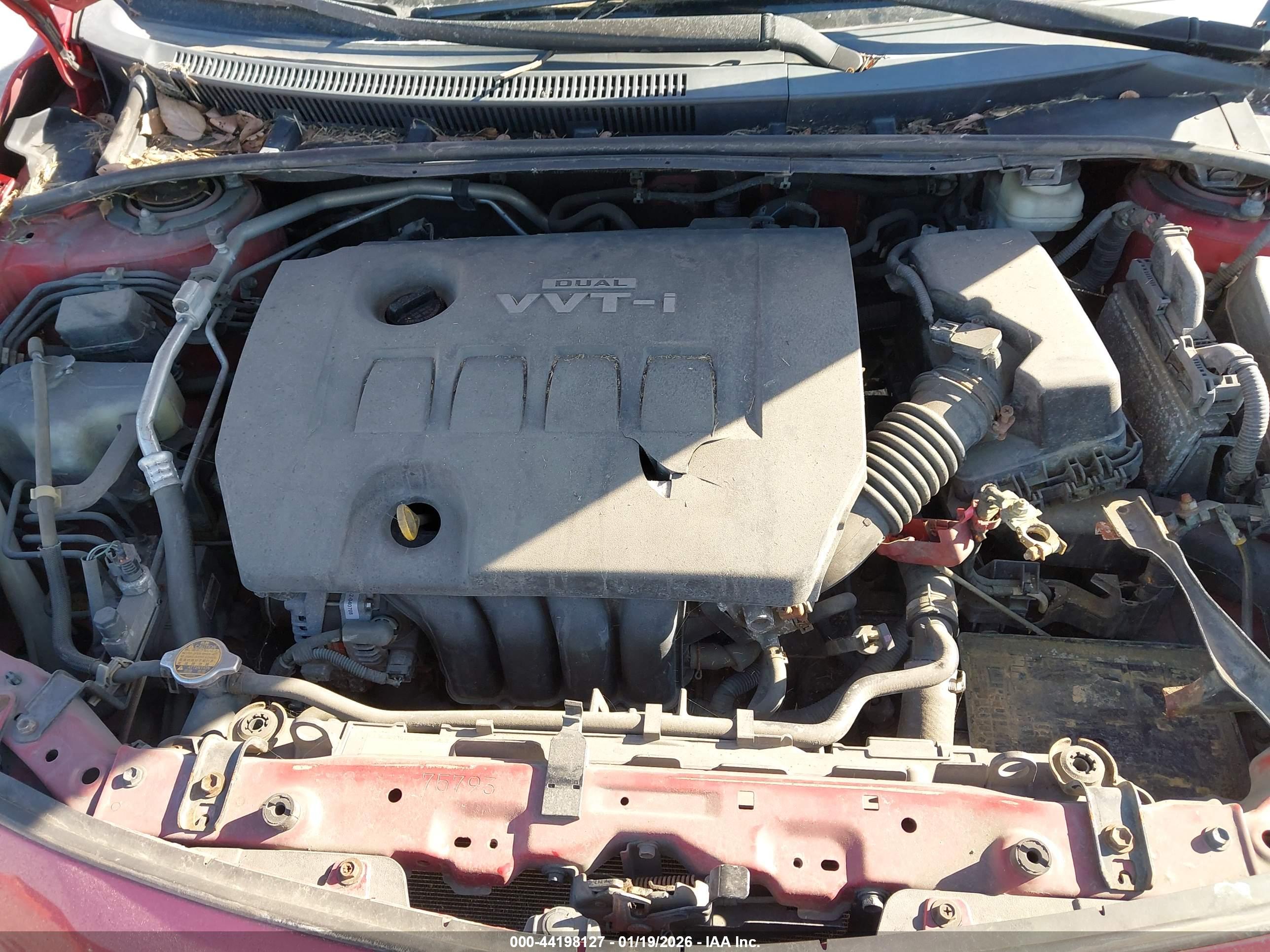 TOYOTA COROLLA image 10