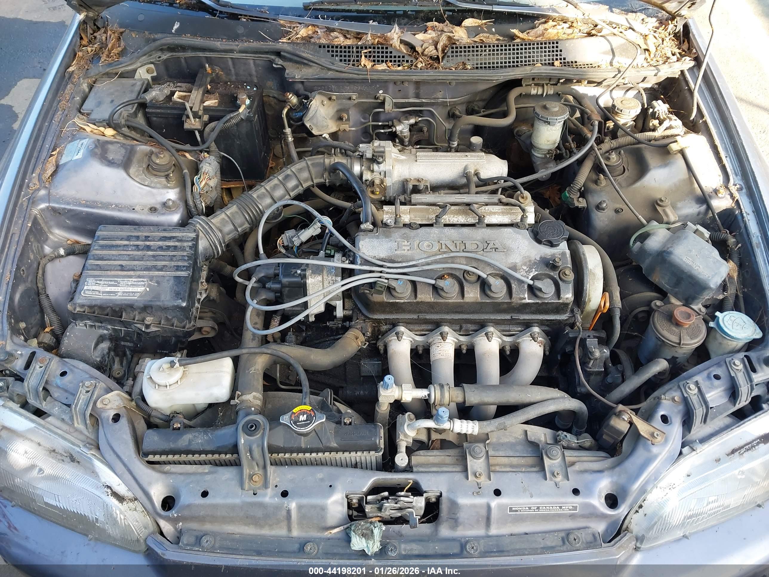 HONDA CIVIC image 10