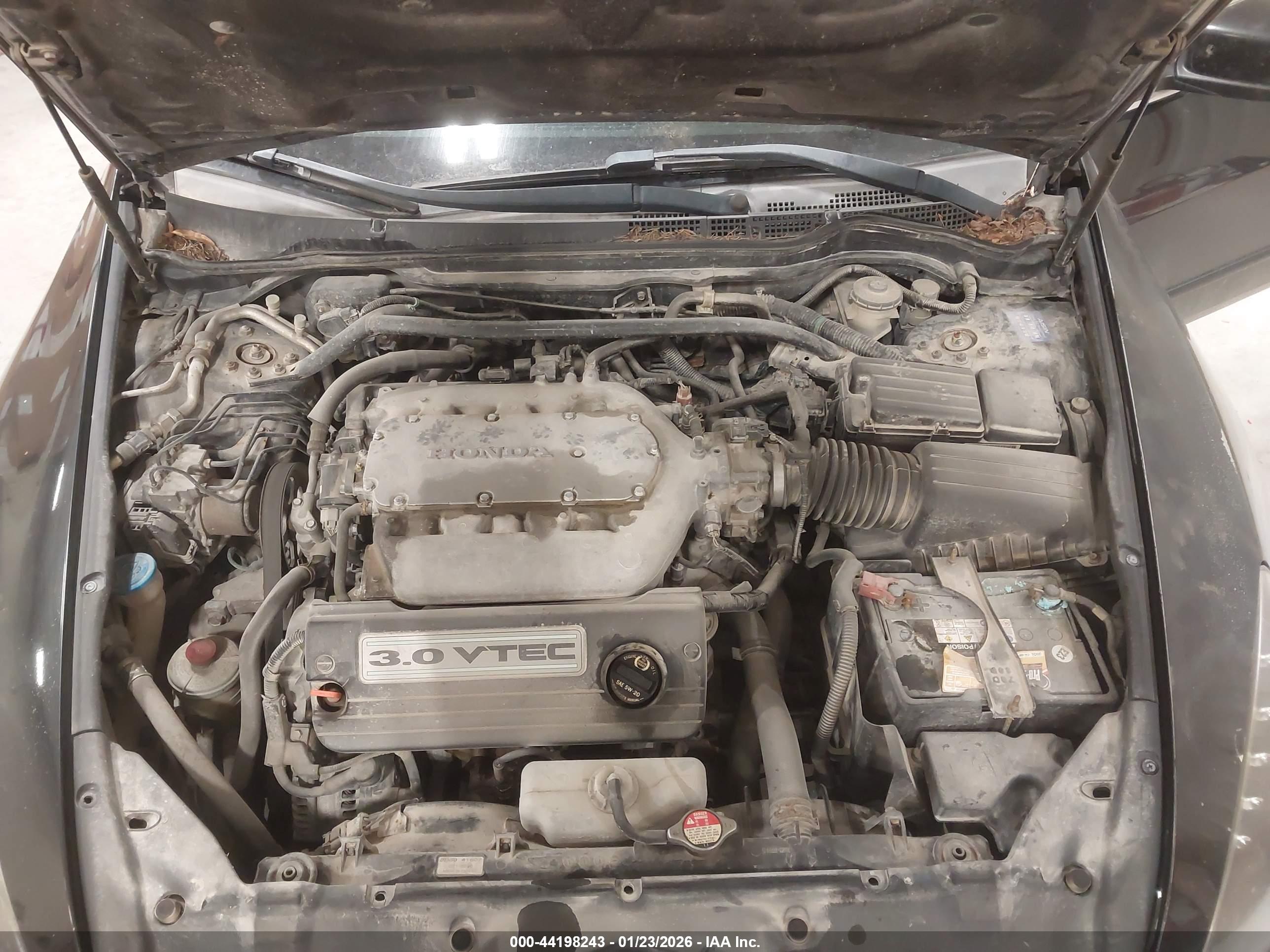 HONDA ACCORD image 10