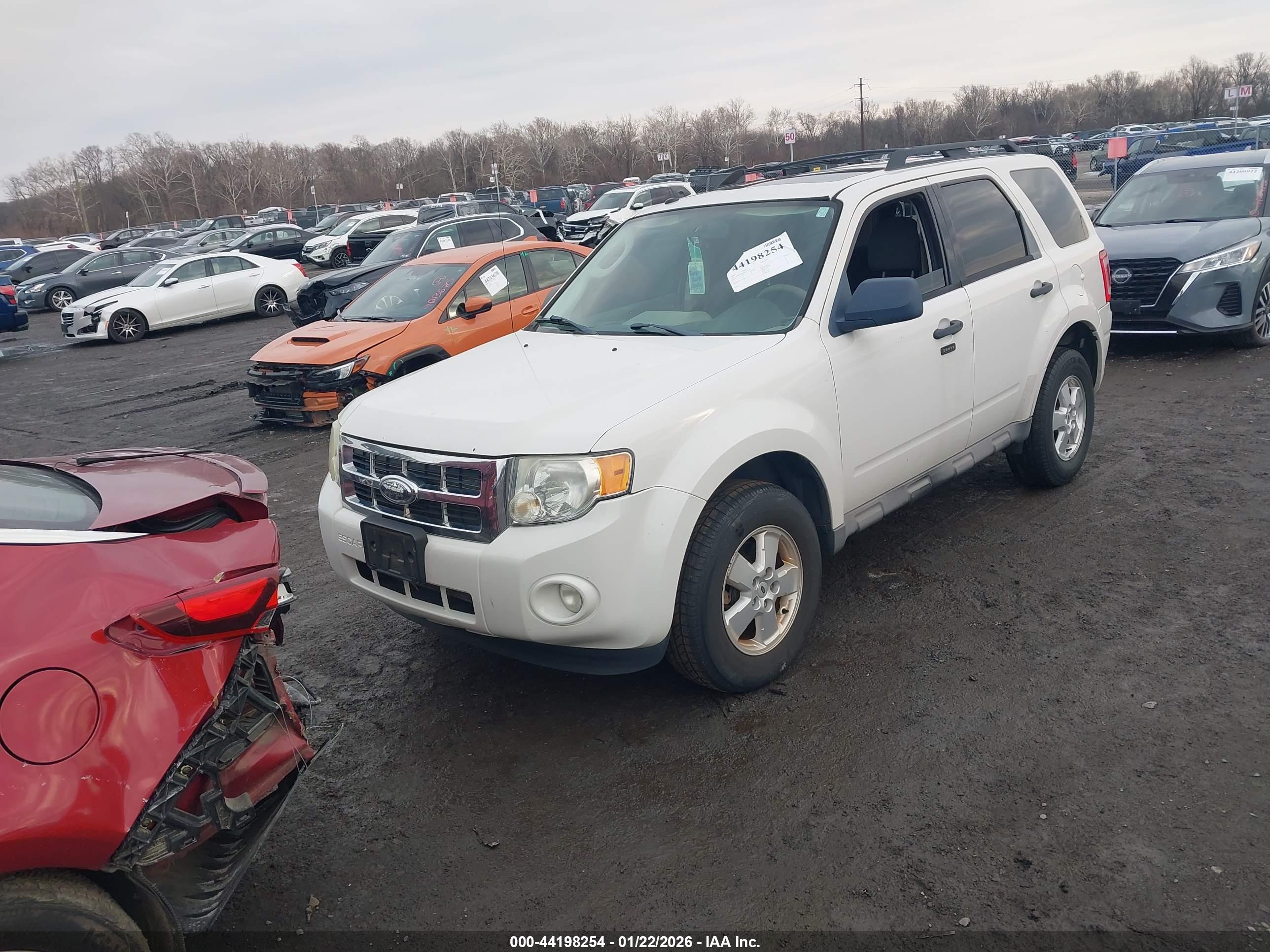 FORD ESCAPE image 2