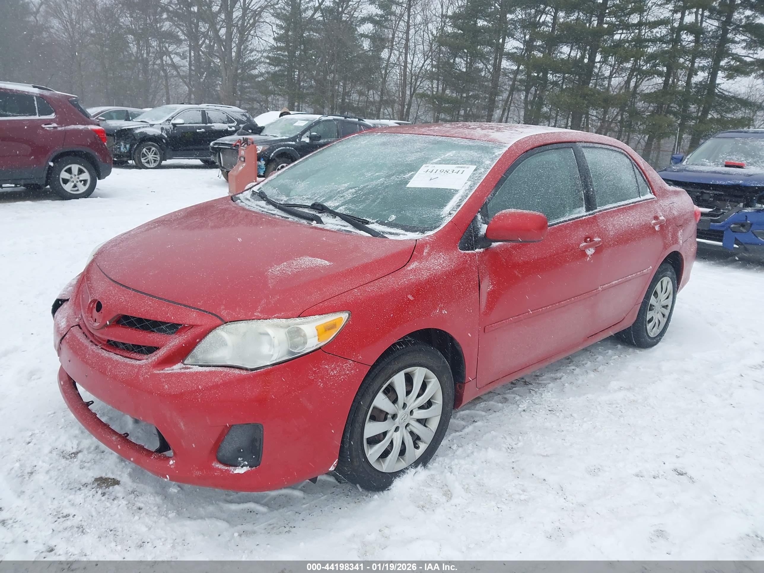 TOYOTA COROLLA image 6
