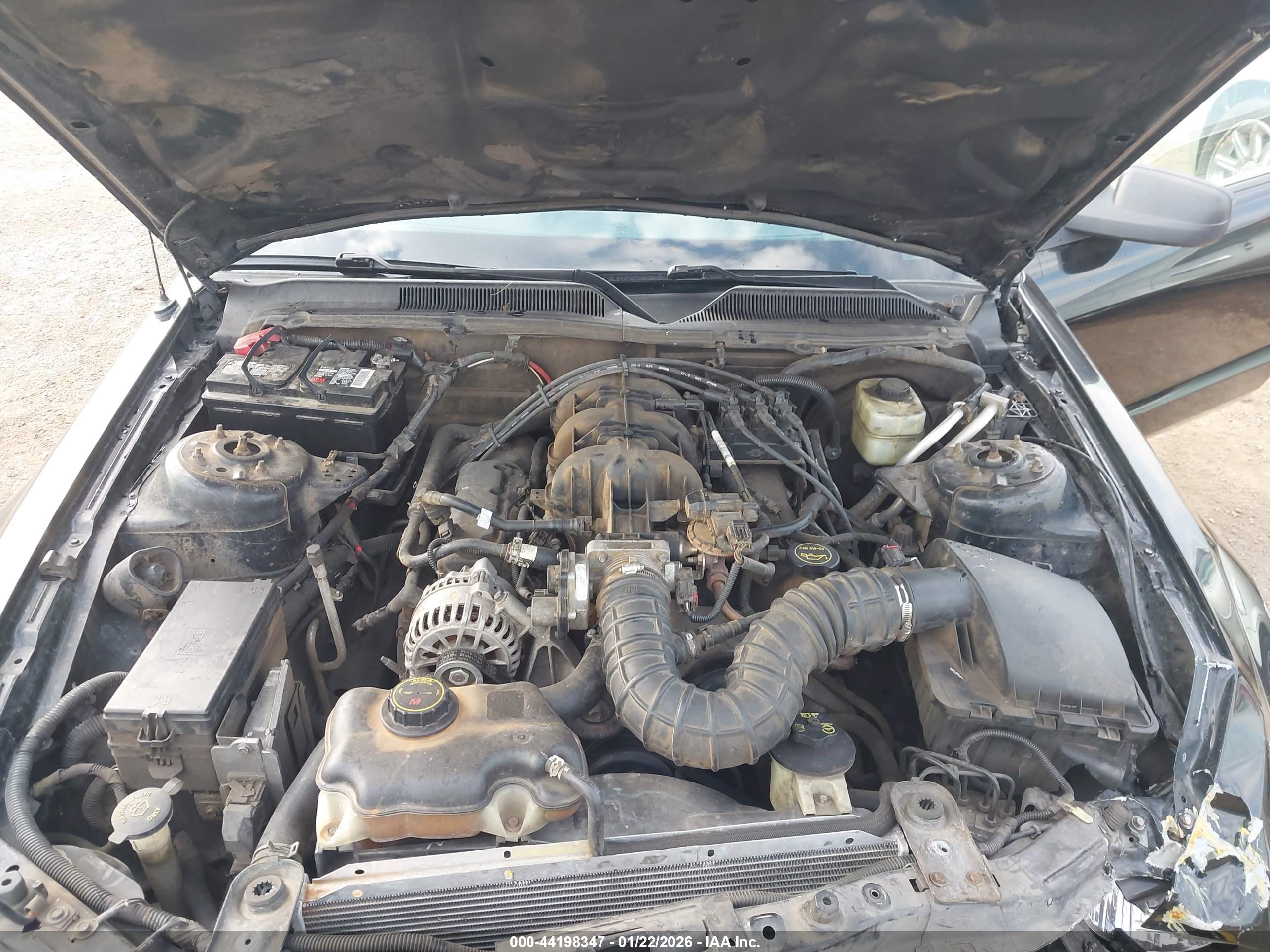 FORD MUSTANG image 10