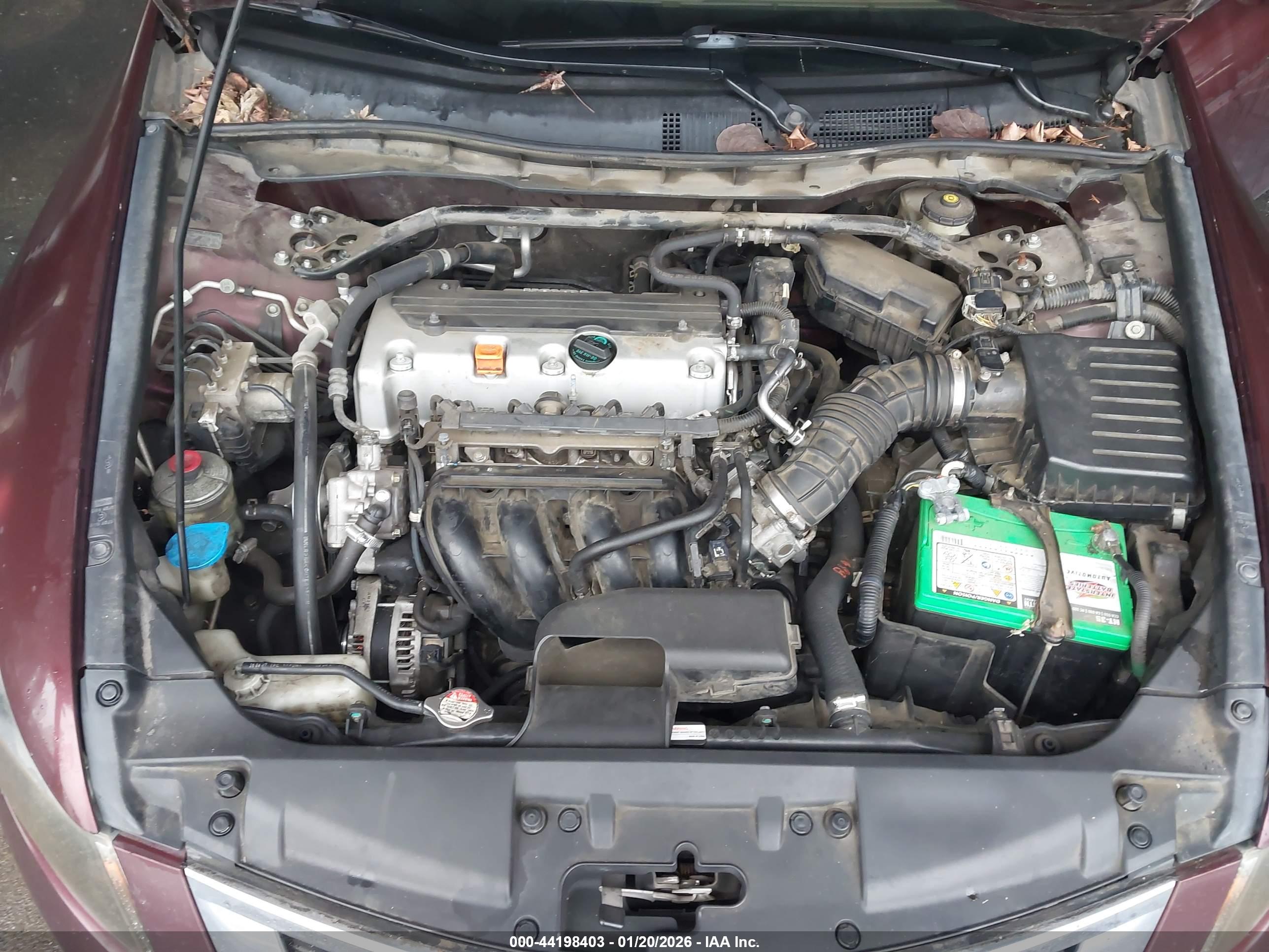 HONDA ACCORD image 10
