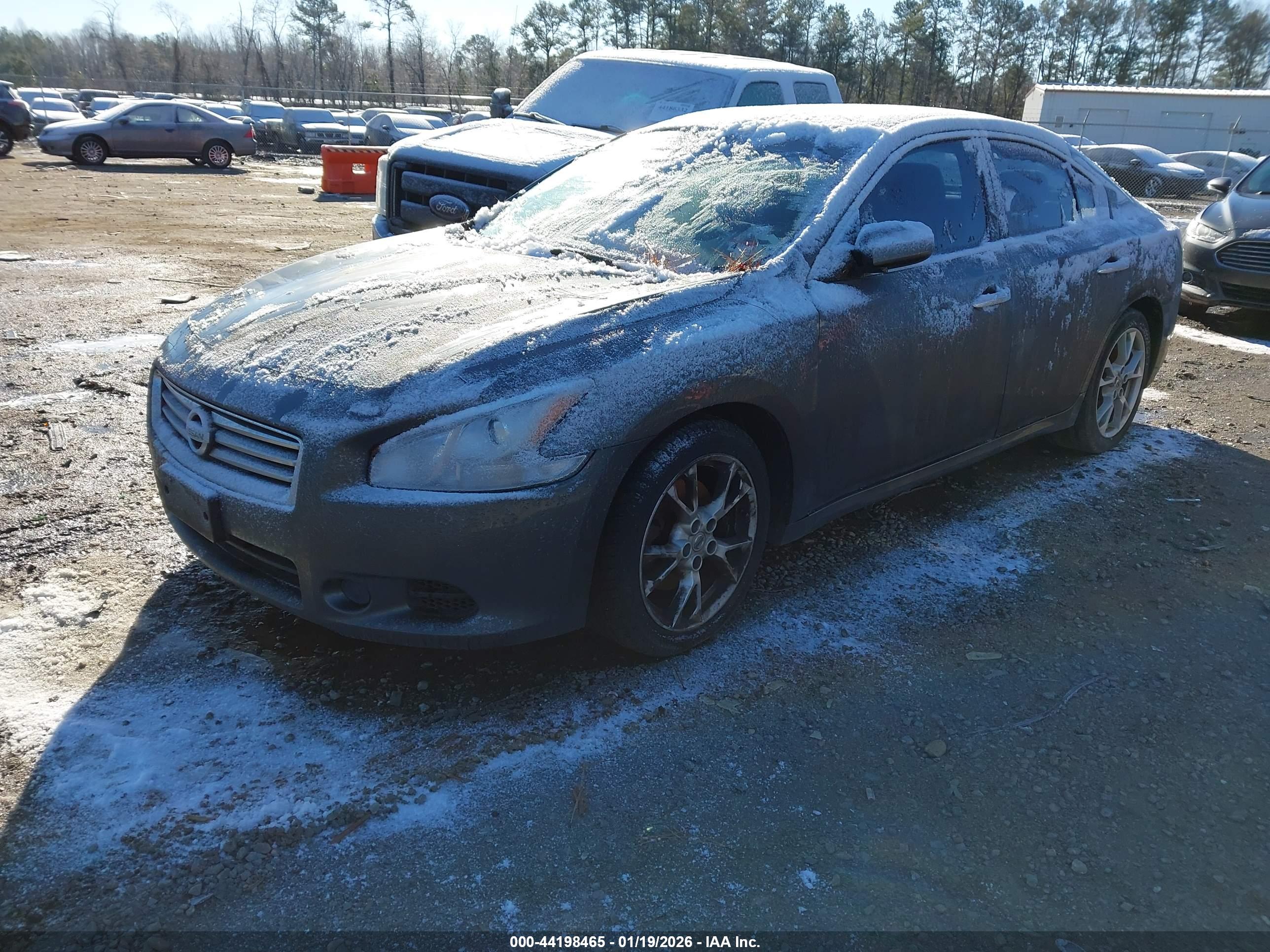 NISSAN MAXIMA image 2