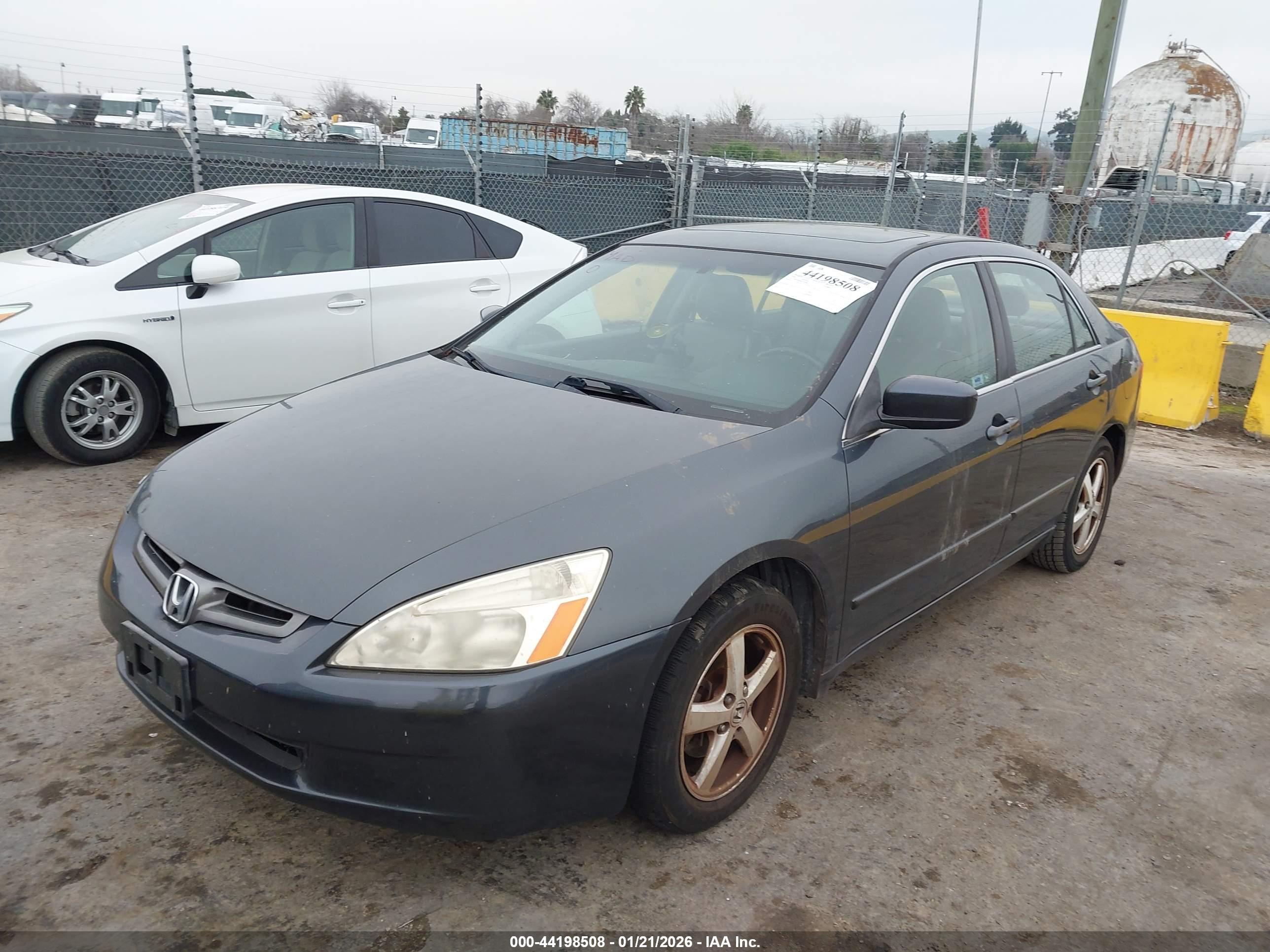 HONDA ACCORD image 6