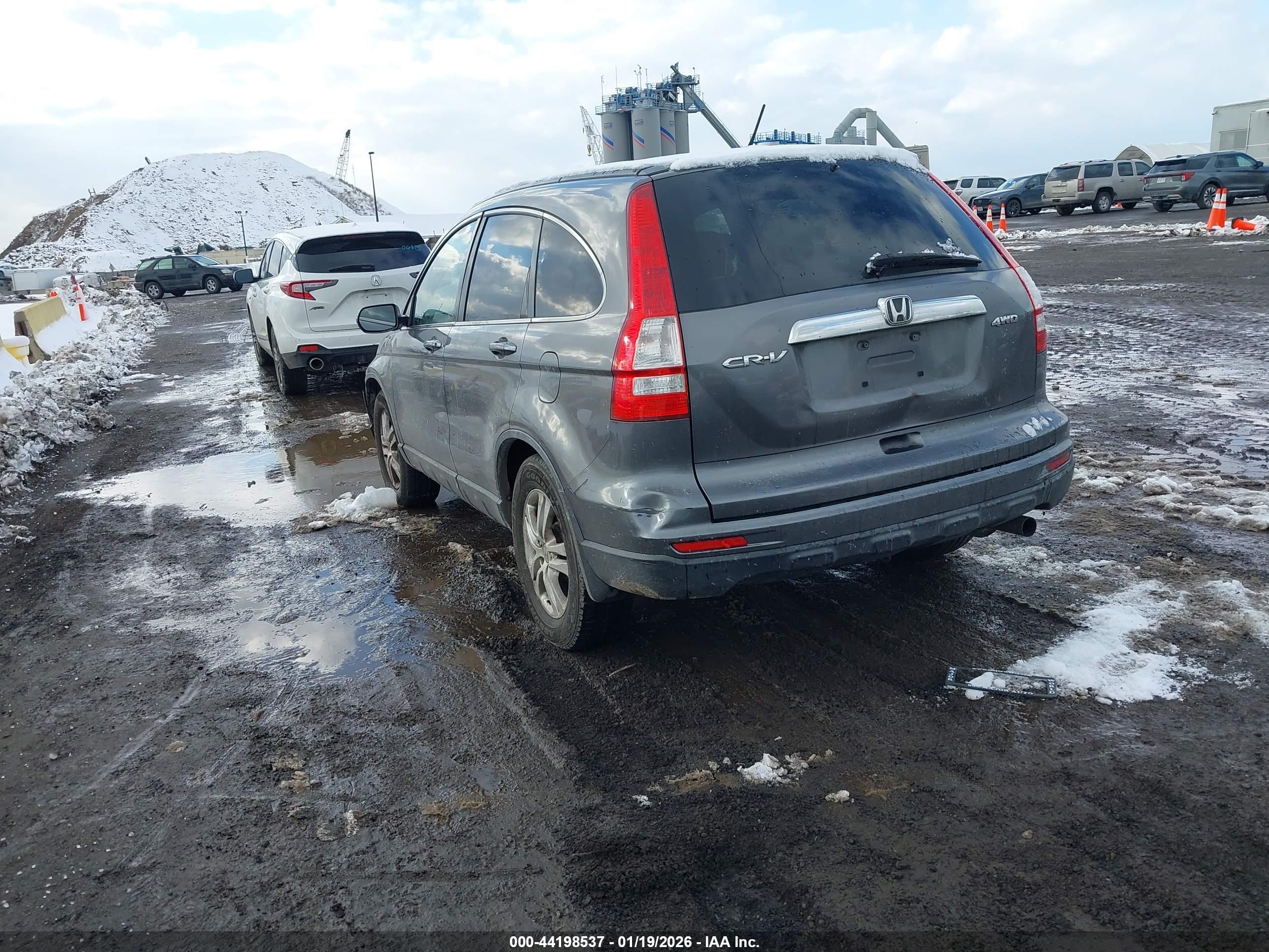 HONDA CR-V image 3