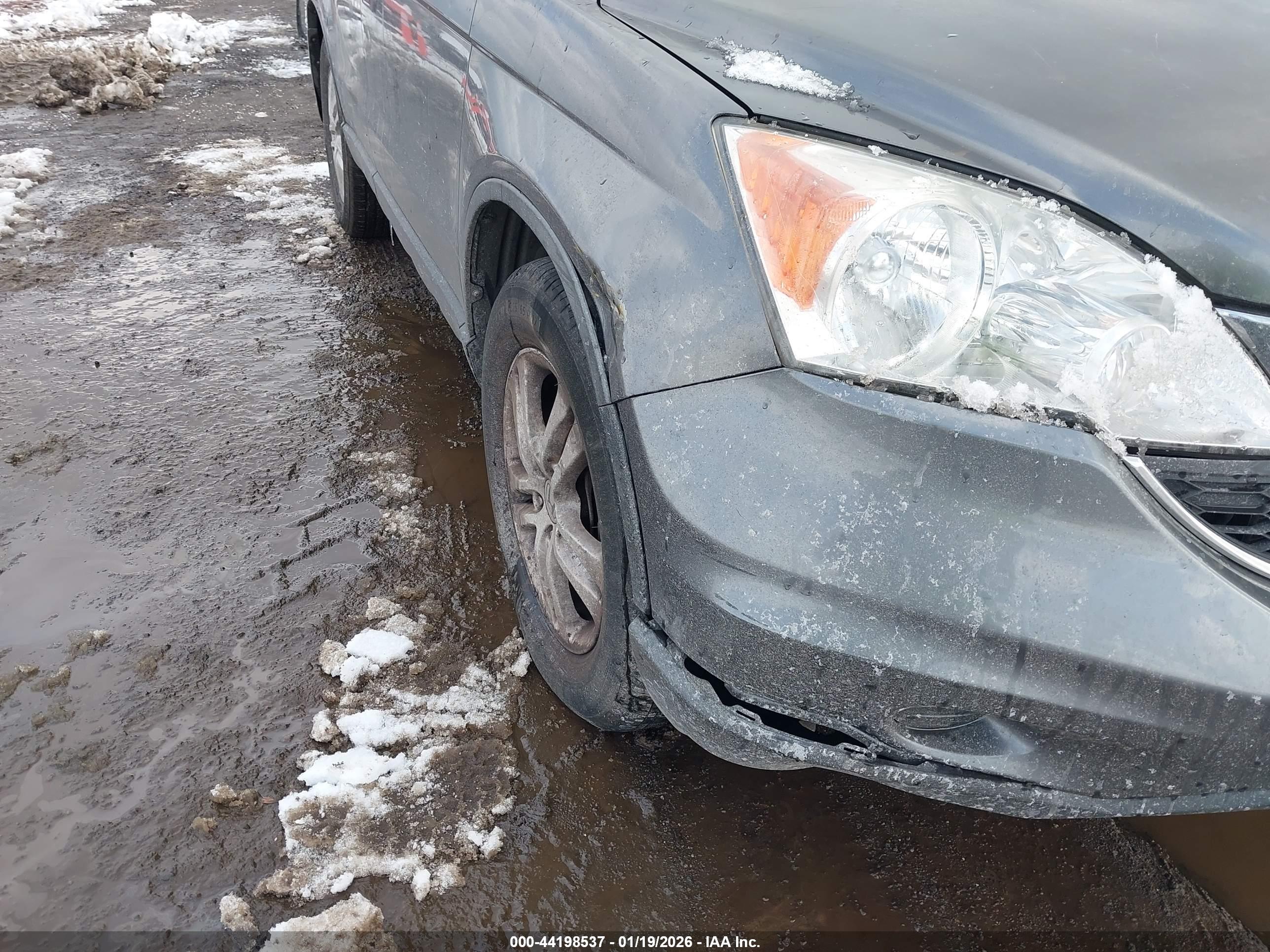HONDA CR-V image 6