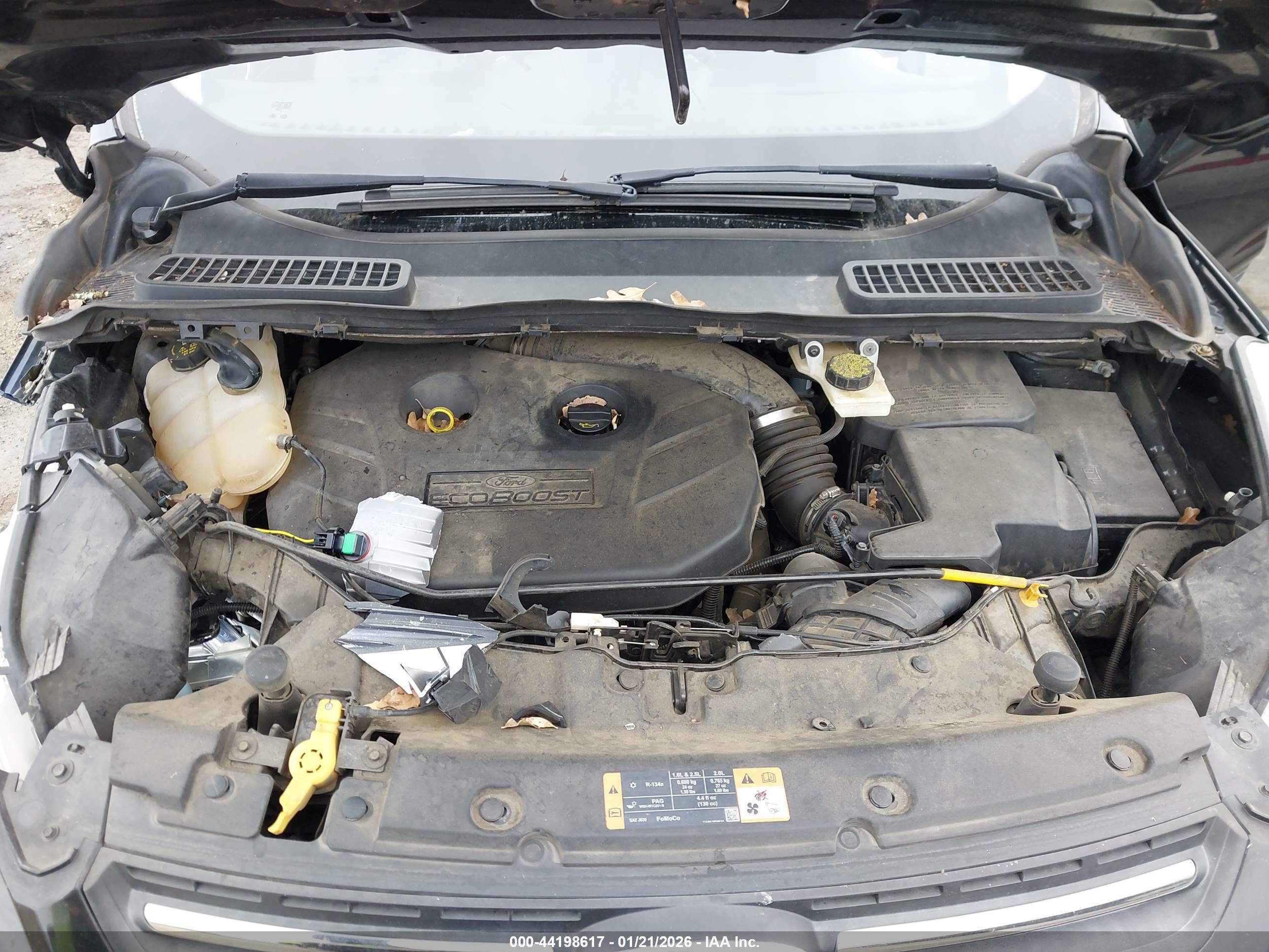 FORD ESCAPE image 10