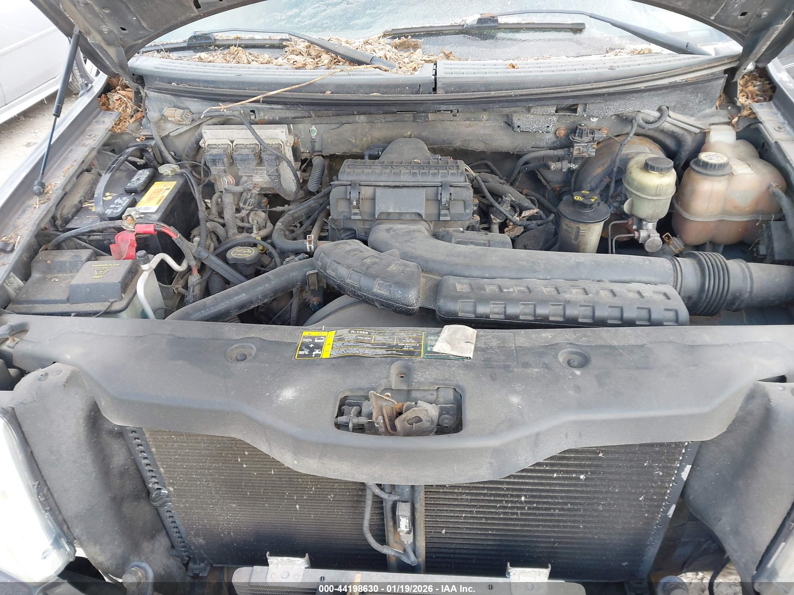 FORD F-150 image 10