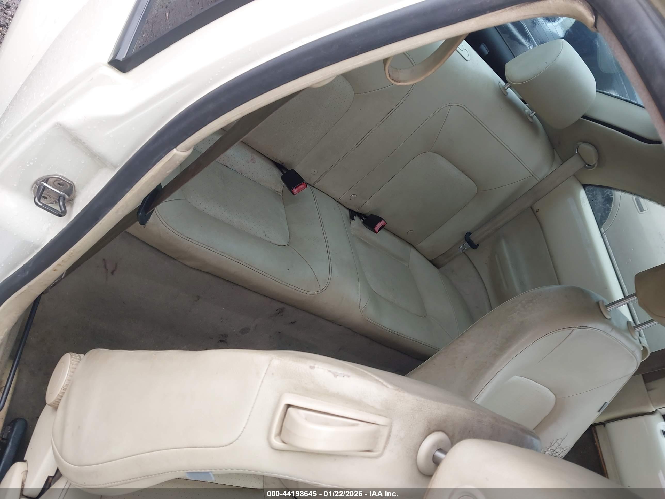 VOLKSWAGEN NEW image 8