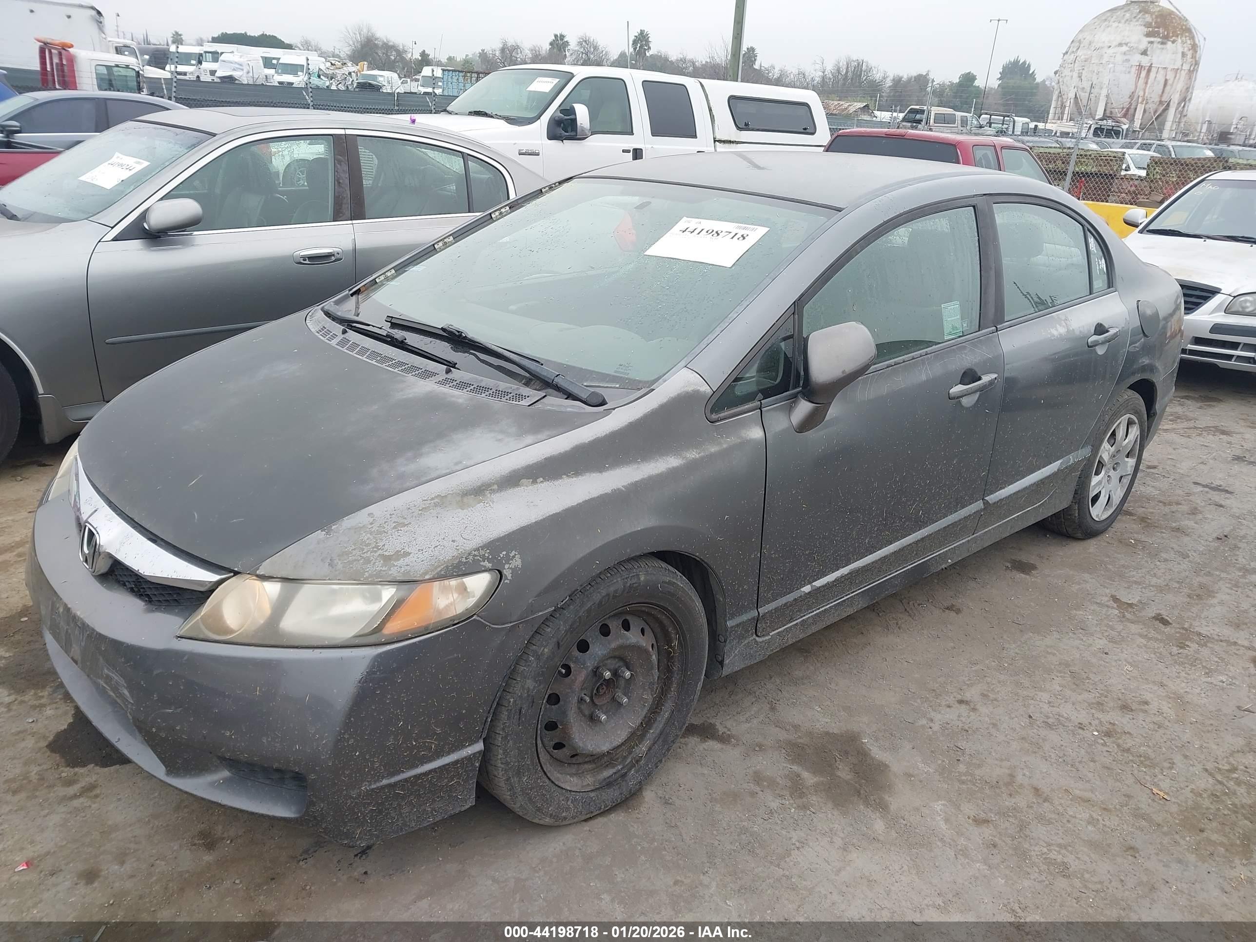 HONDA CIVIC image 6