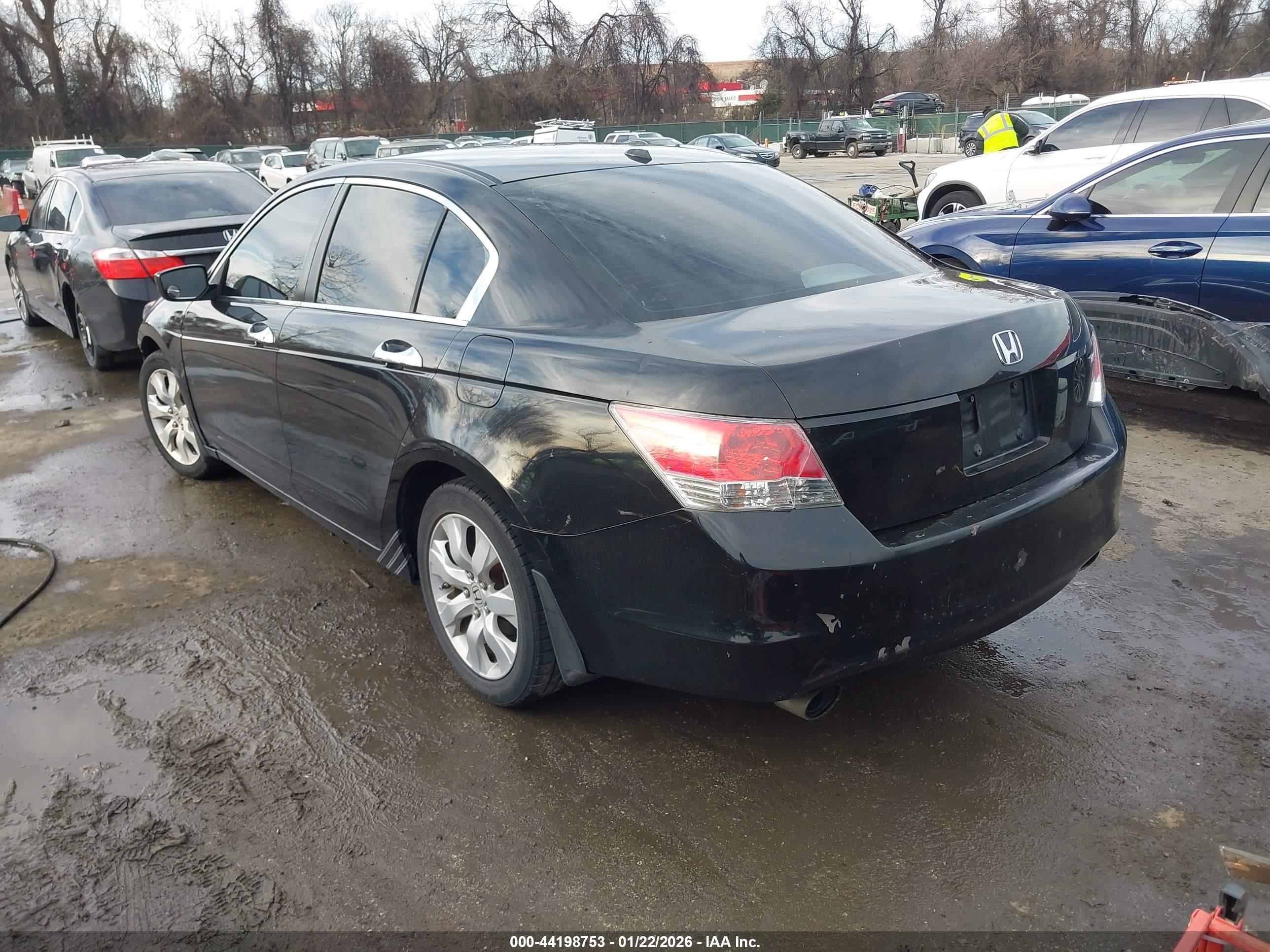 HONDA ACCORD image 3