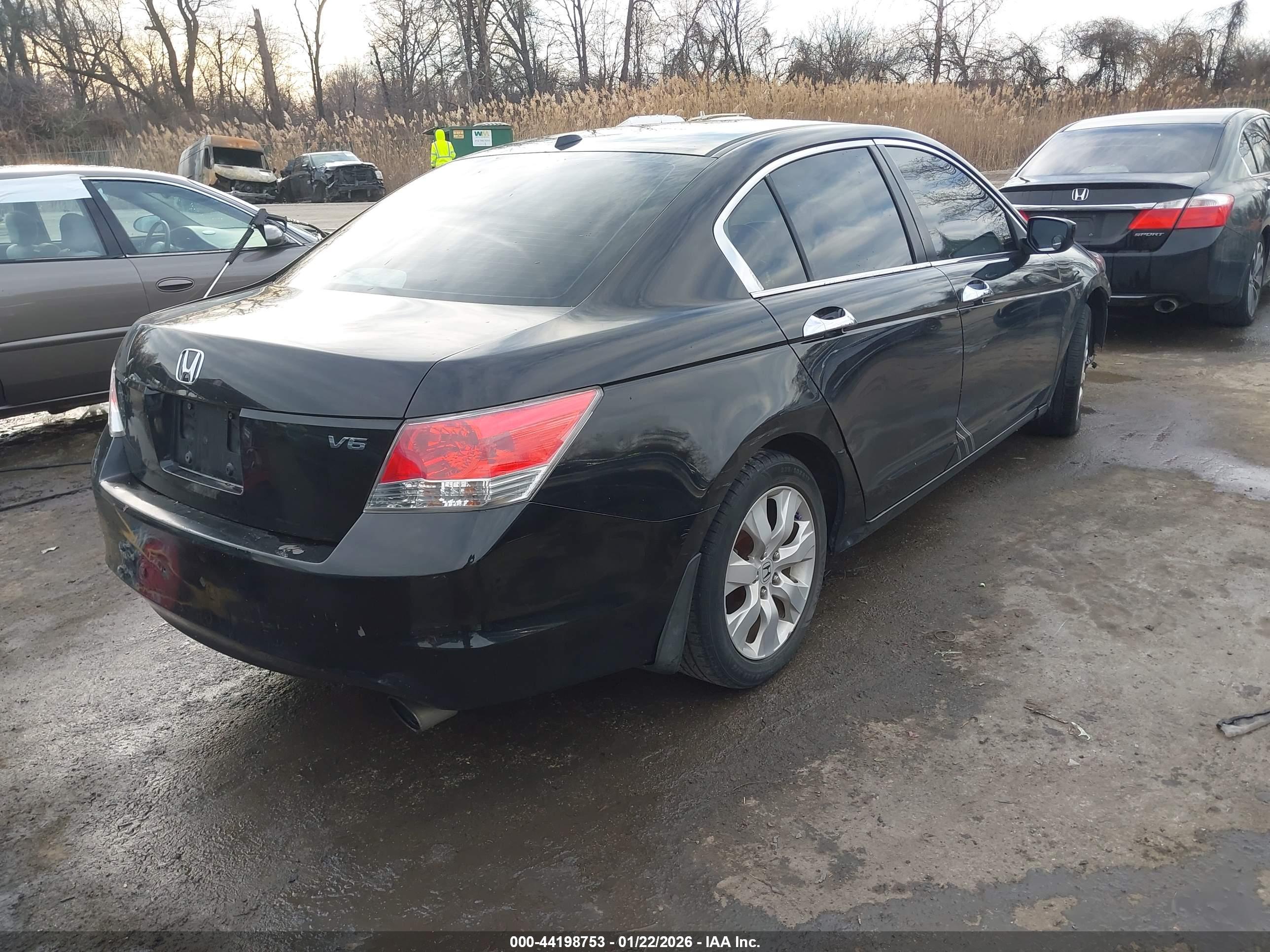 HONDA ACCORD image 4