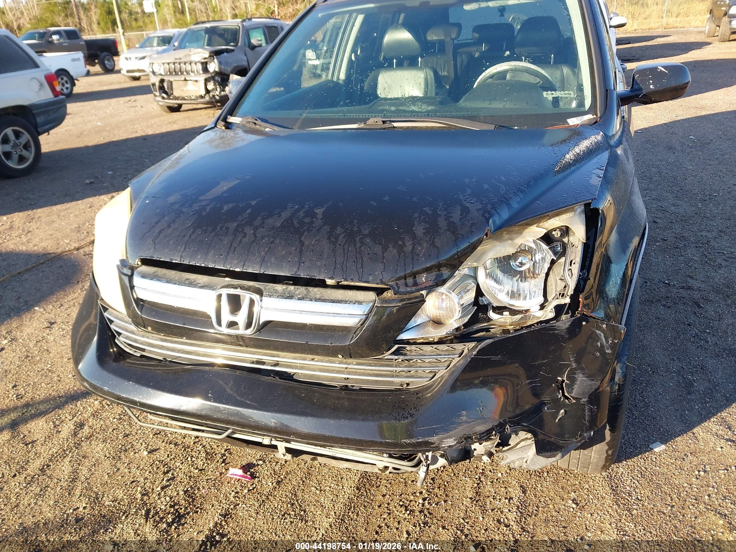 HONDA CR-V image 6