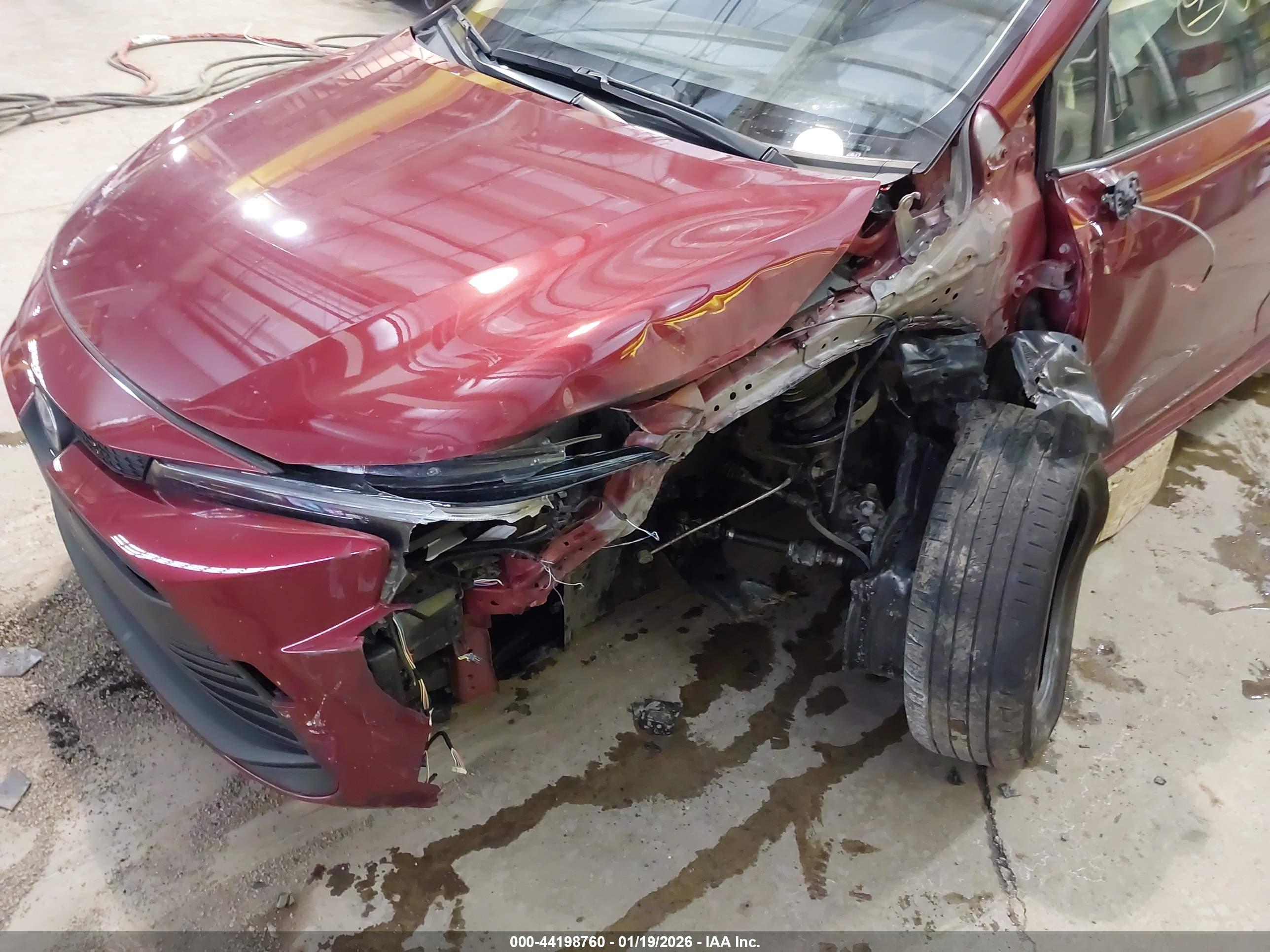 TOYOTA COROLLA image 6