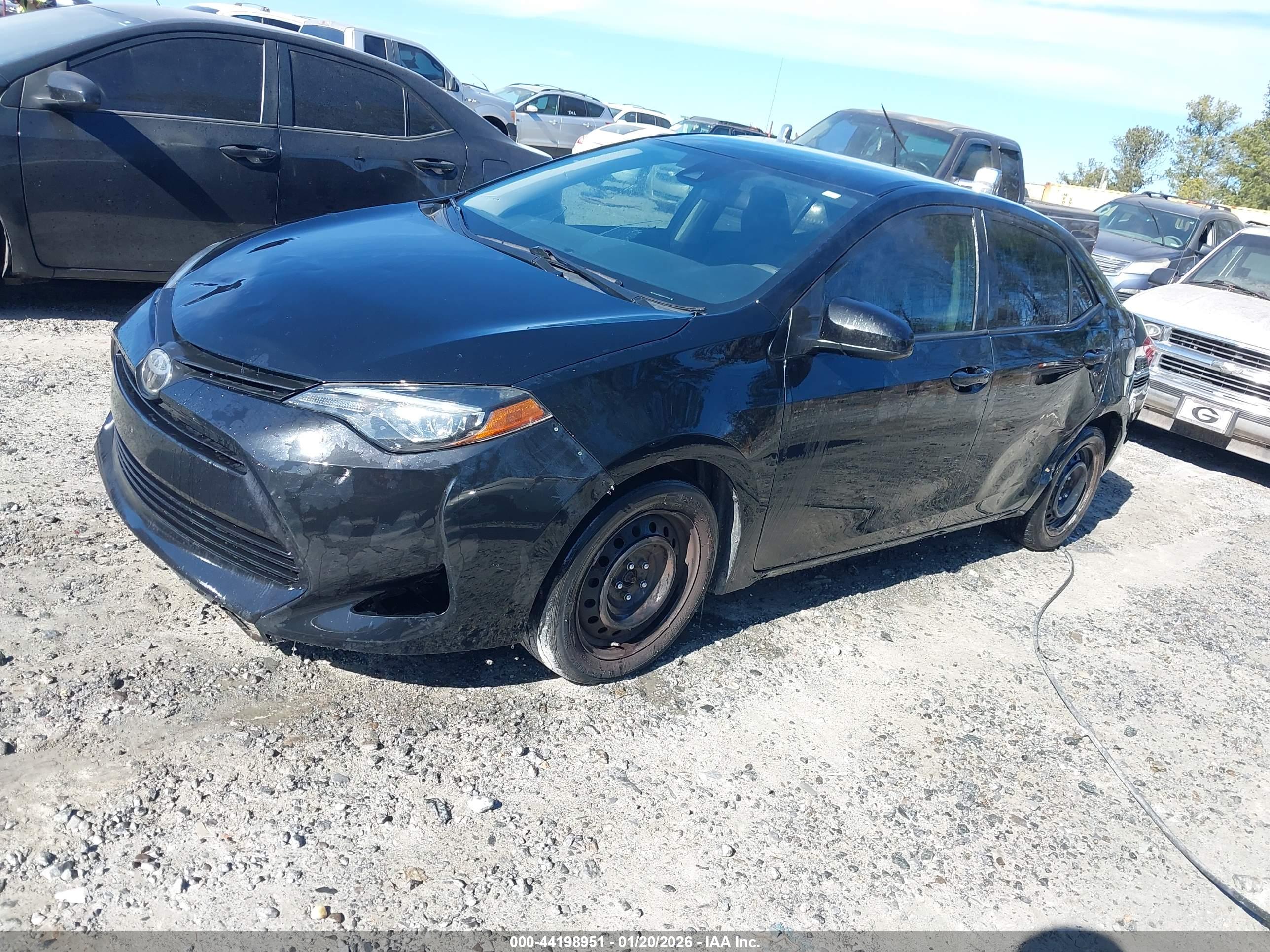 TOYOTA COROLLA image 2