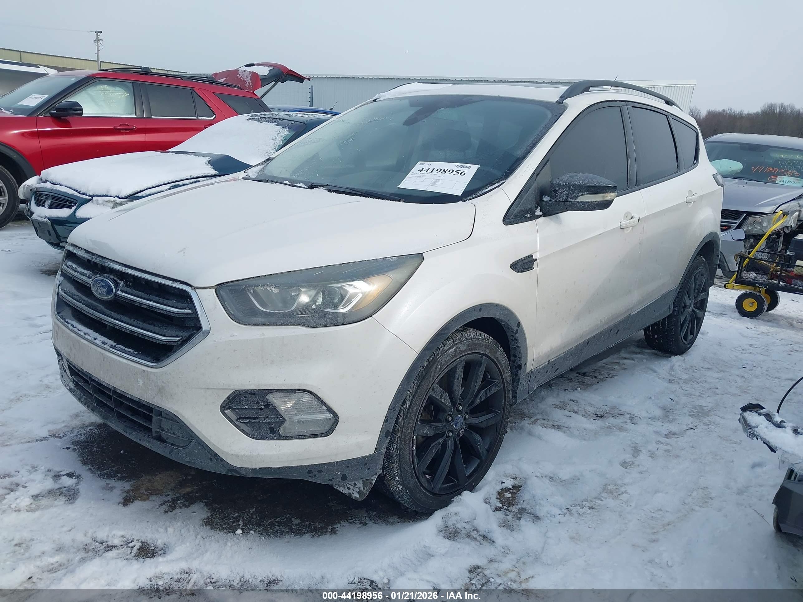 FORD ESCAPE image 2