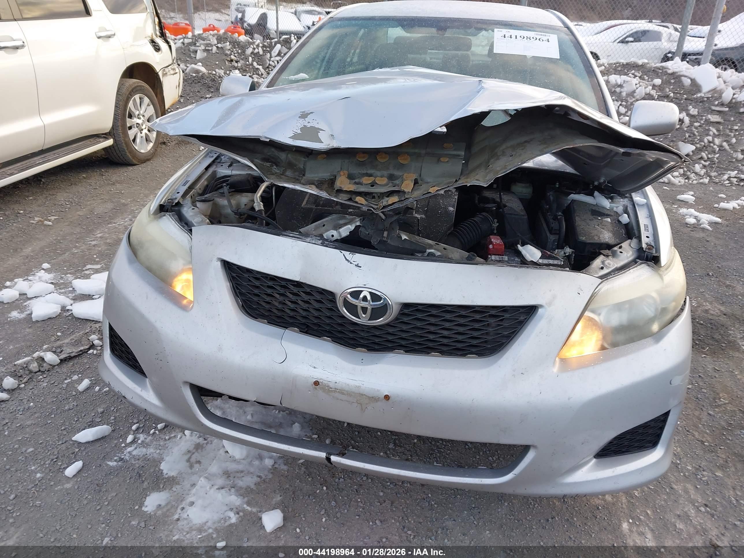 TOYOTA COROLLA image 6