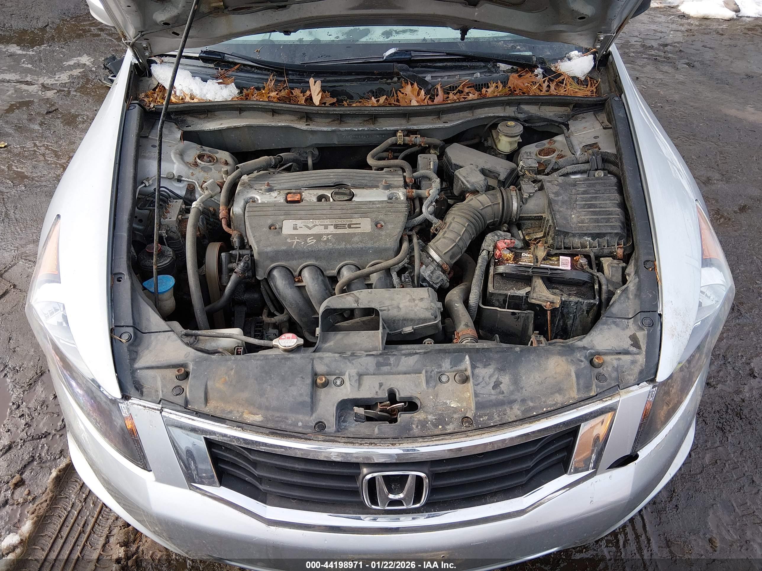 HONDA ACCORD image 10