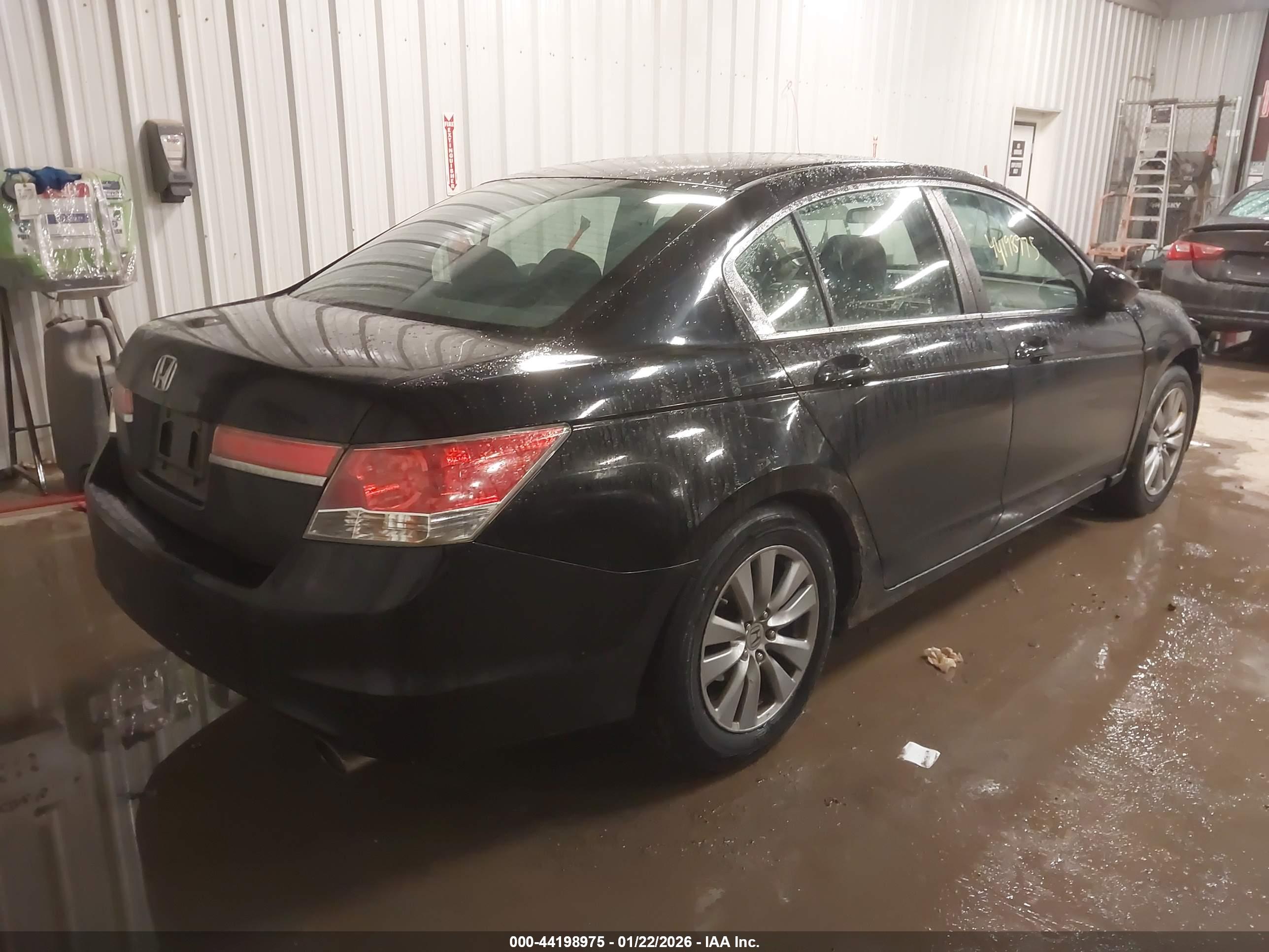 HONDA ACCORD image 4