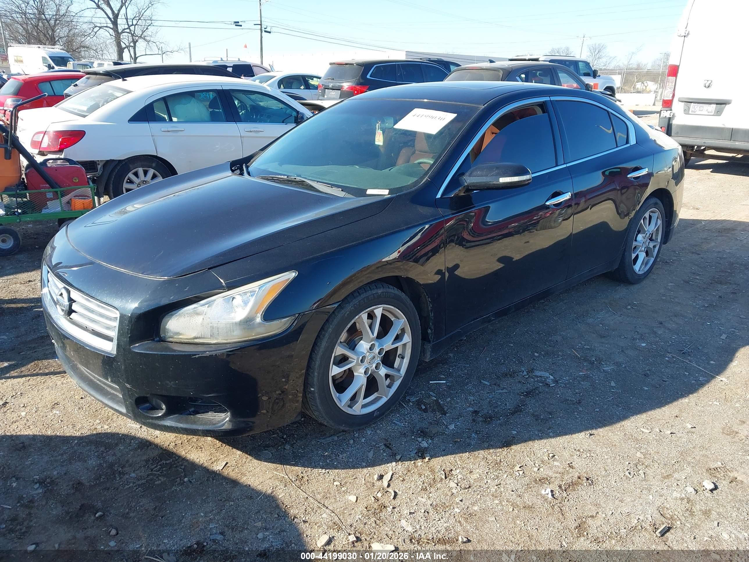 NISSAN MAXIMA image 2