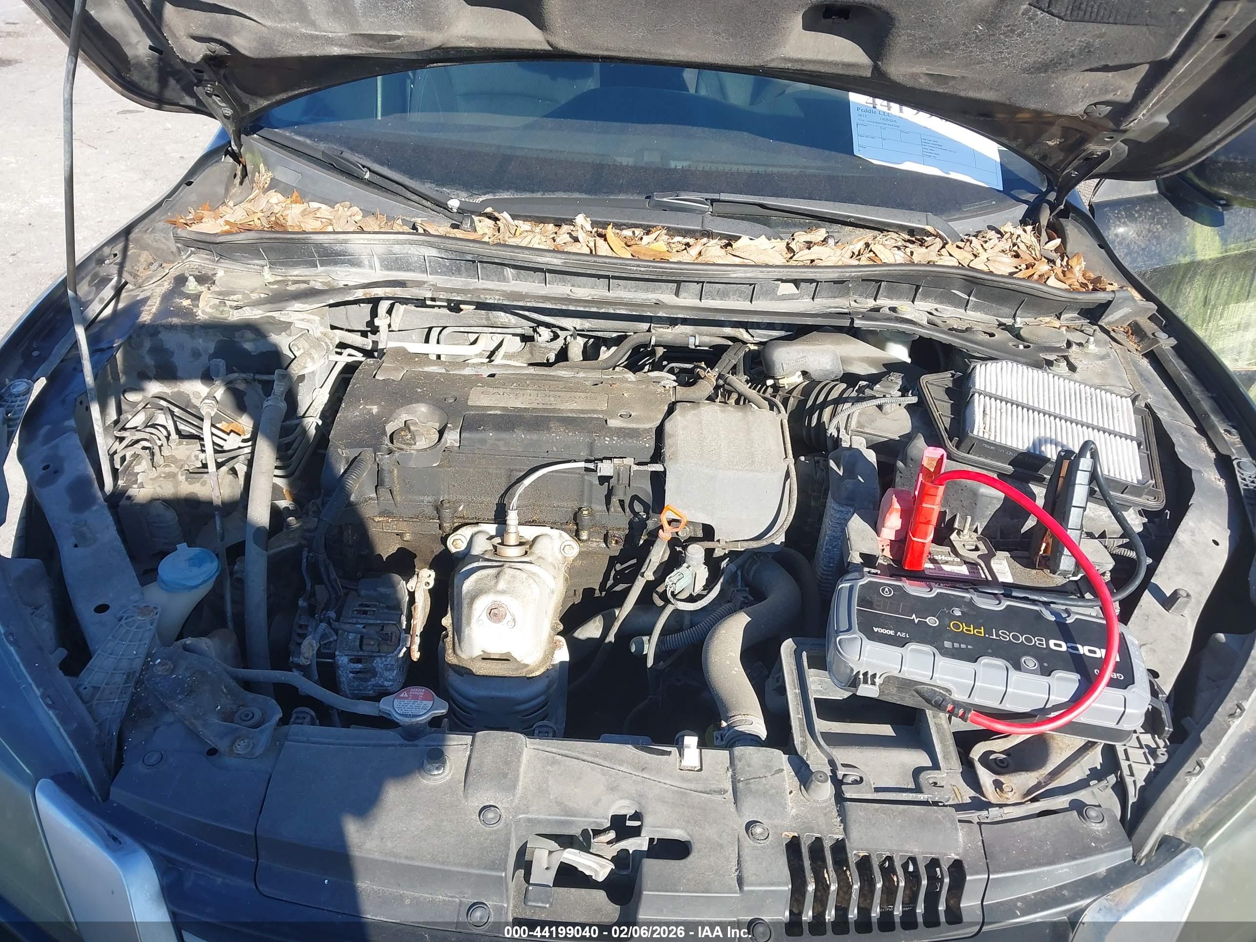 HONDA ACCORD image 10