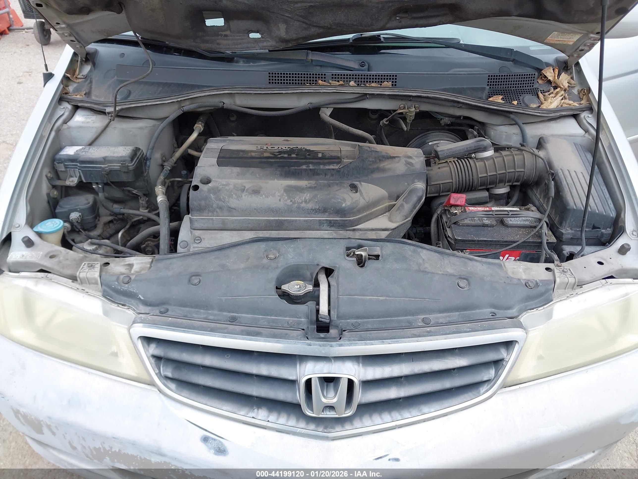 HONDA ODYSSEY image 10