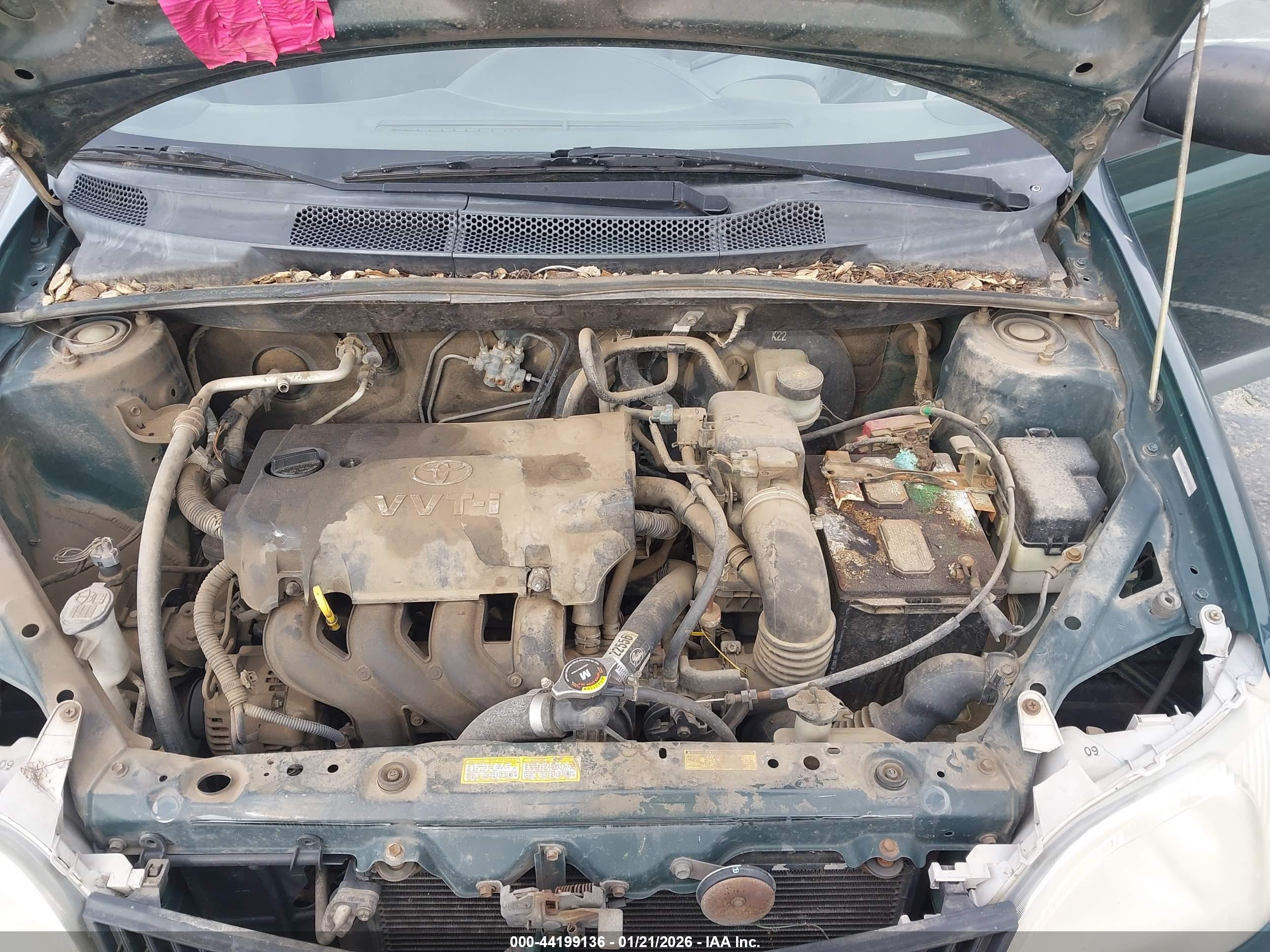 TOYOTA ECHO image 10