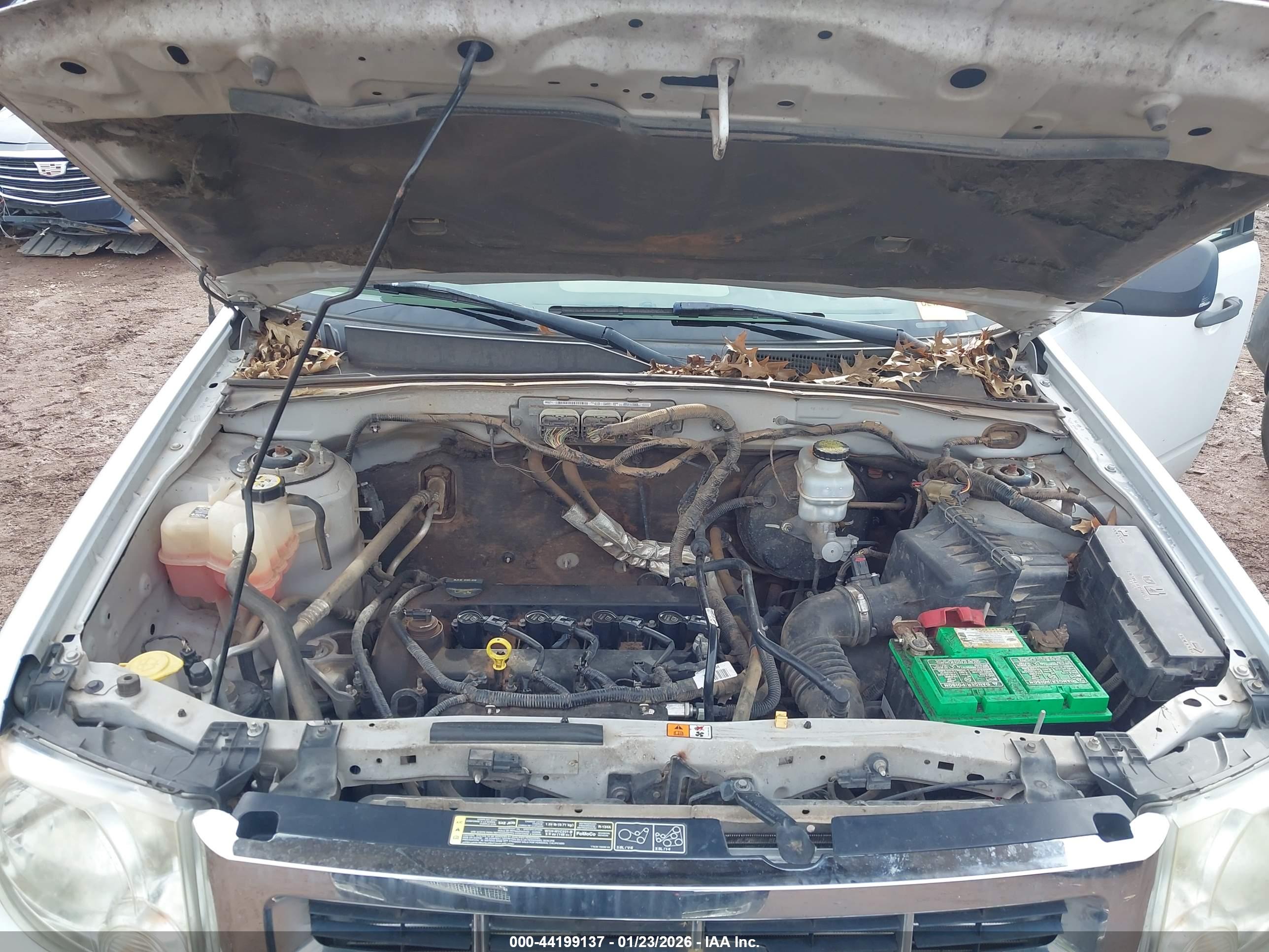 FORD ESCAPE image 10