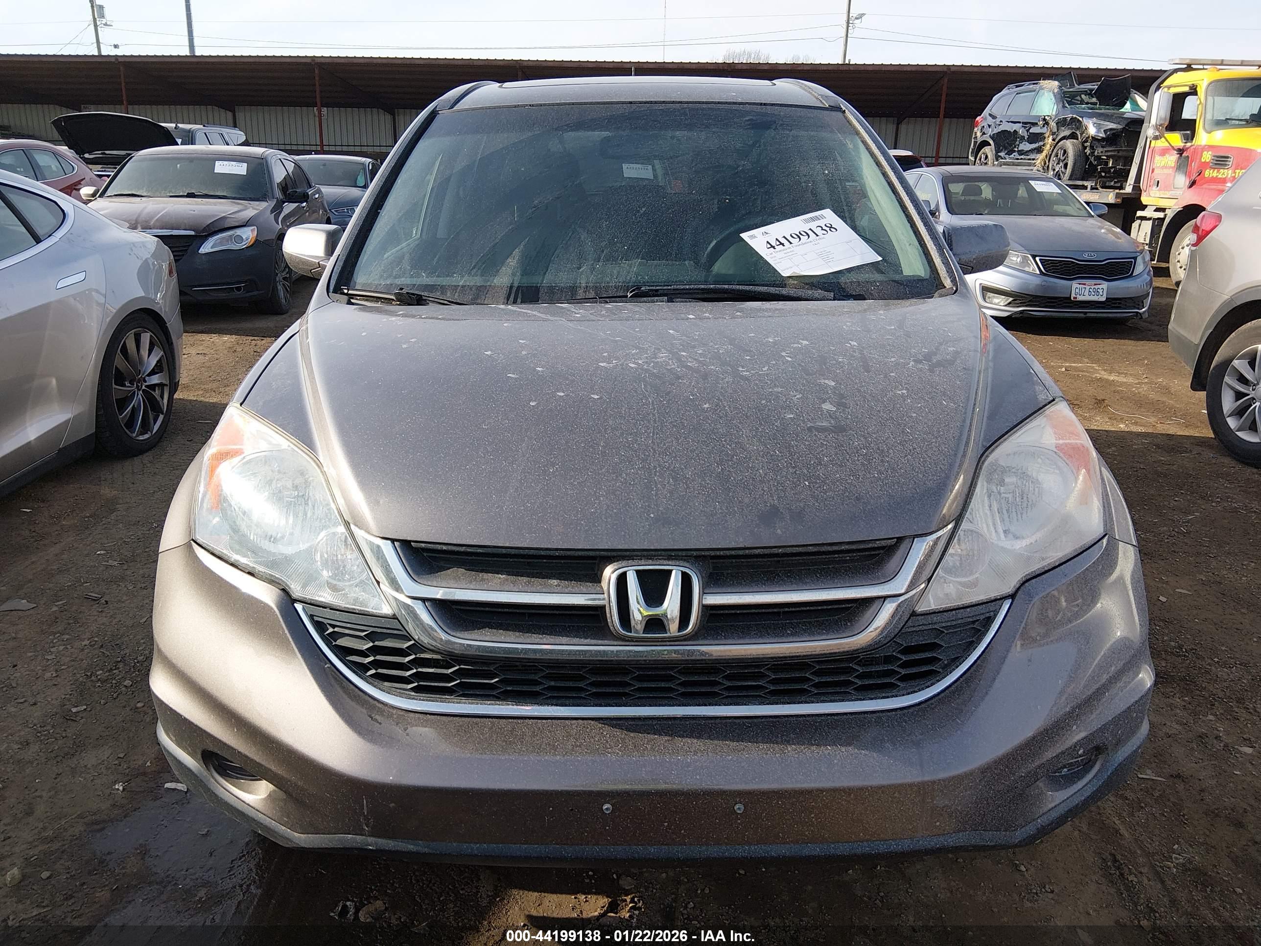 HONDA CR-V image 6