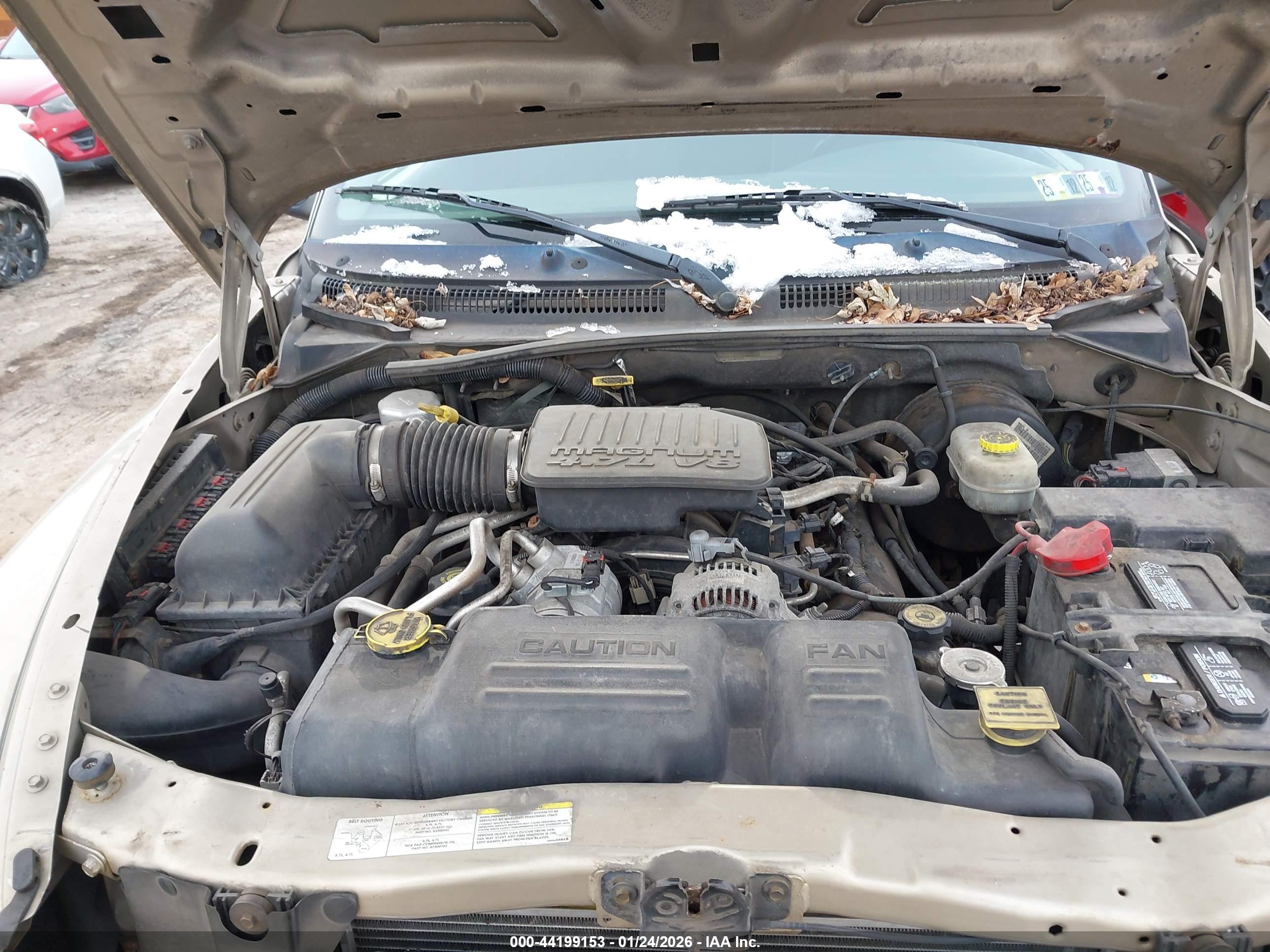 DODGE DAKOTA image 10