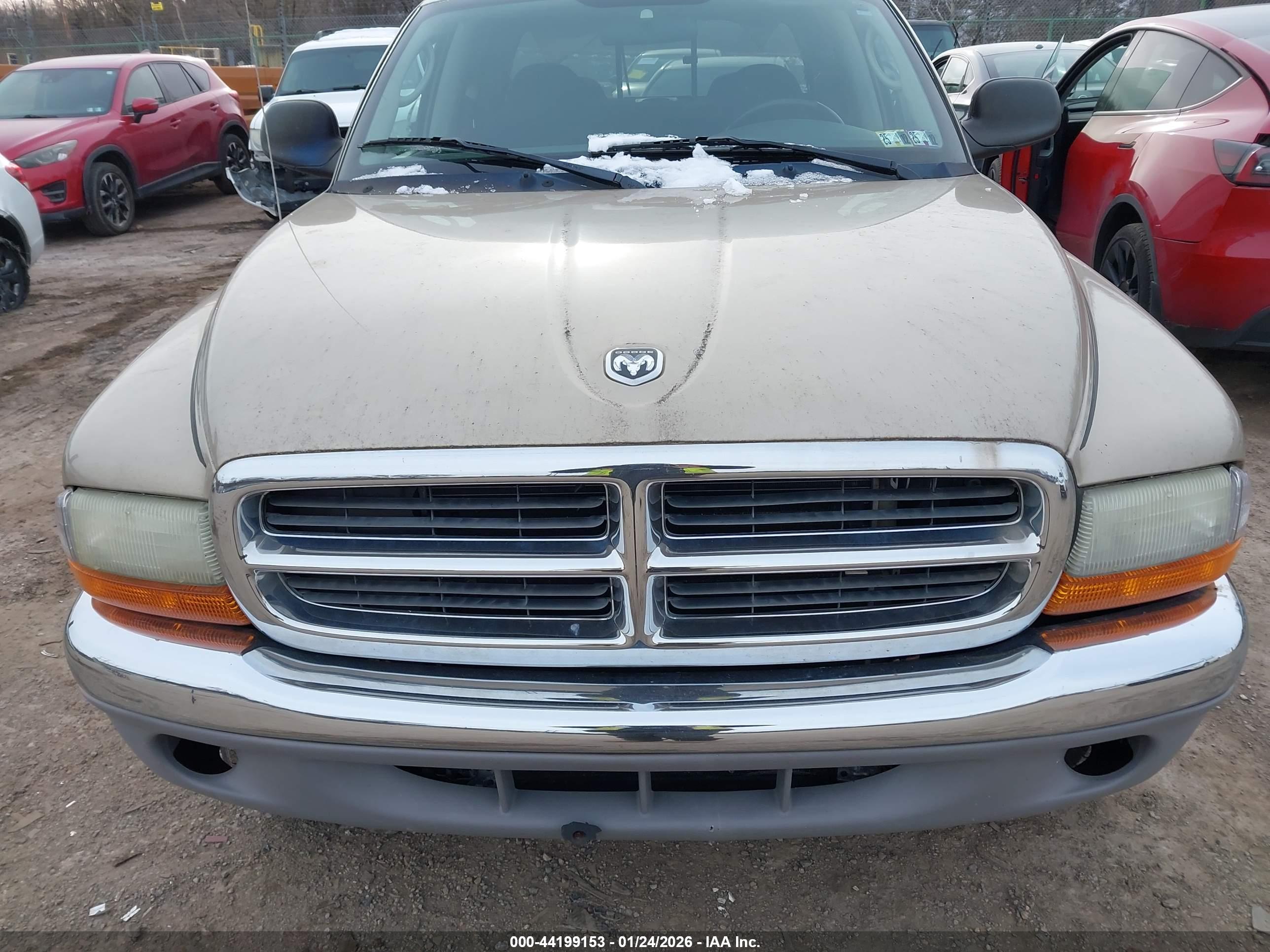 DODGE DAKOTA image 6